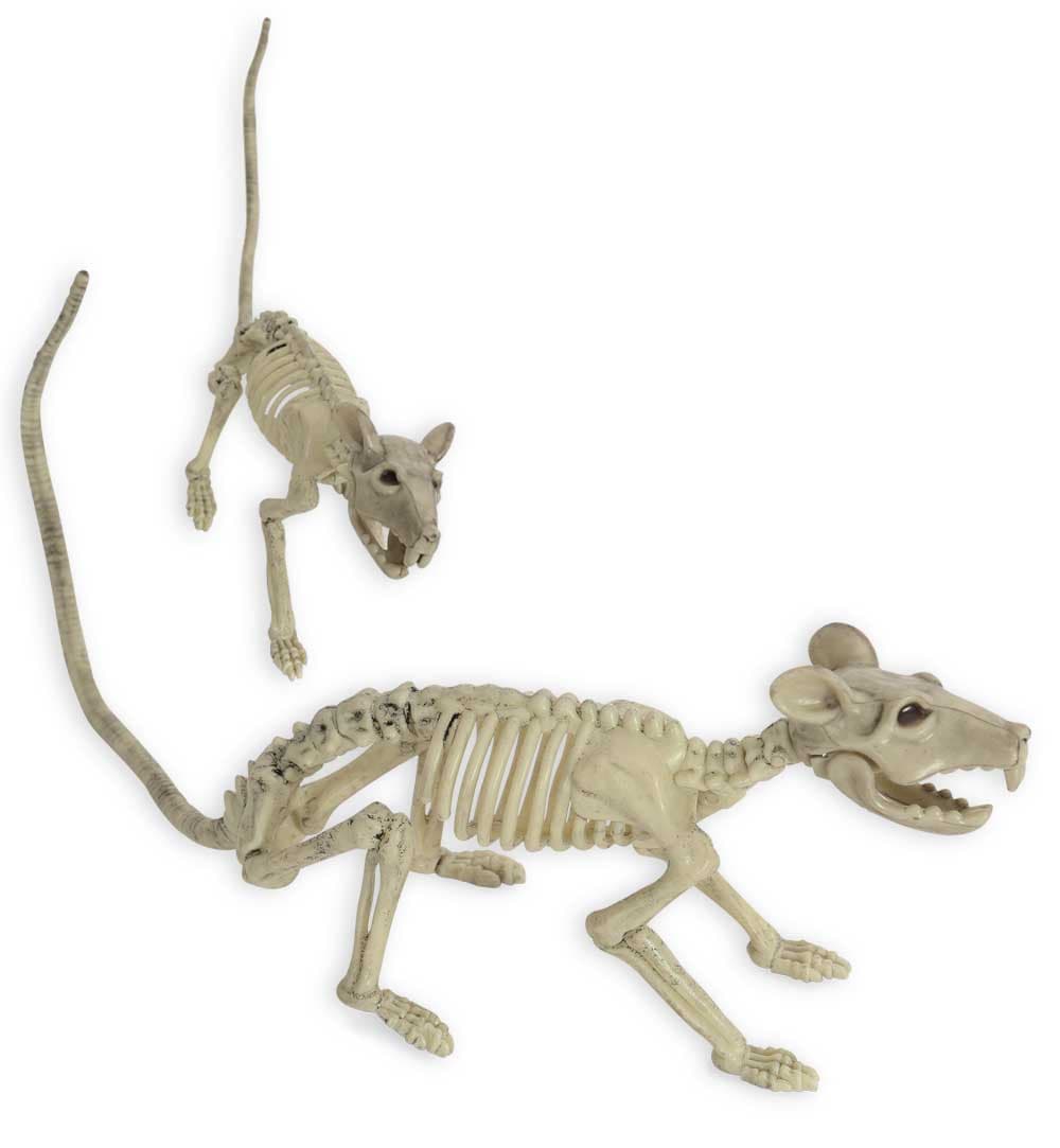 FRIES 54436 DEKO SKELETT RATTE