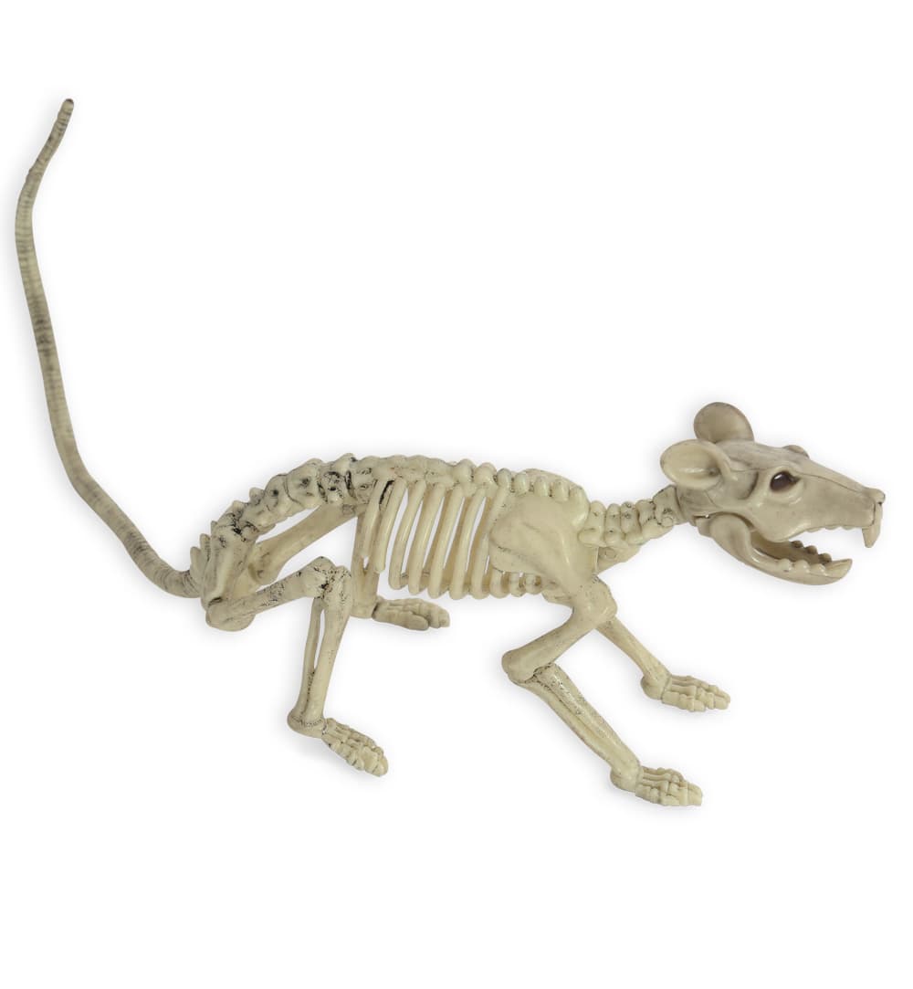 Produktbild FRIES 54436 DEKO SKELETT RATTE 3 von 3
