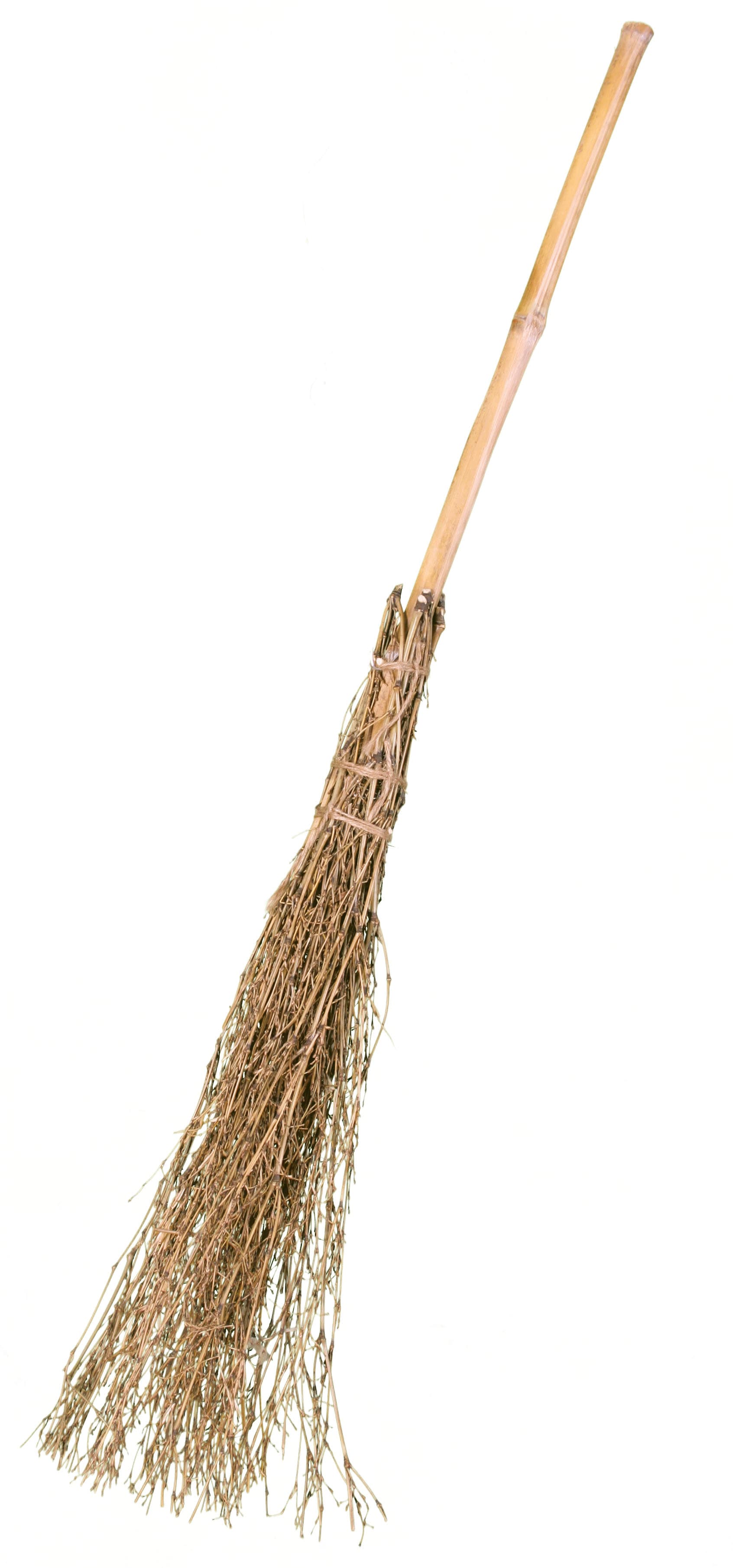 Fries - 58170 Hexenbesen