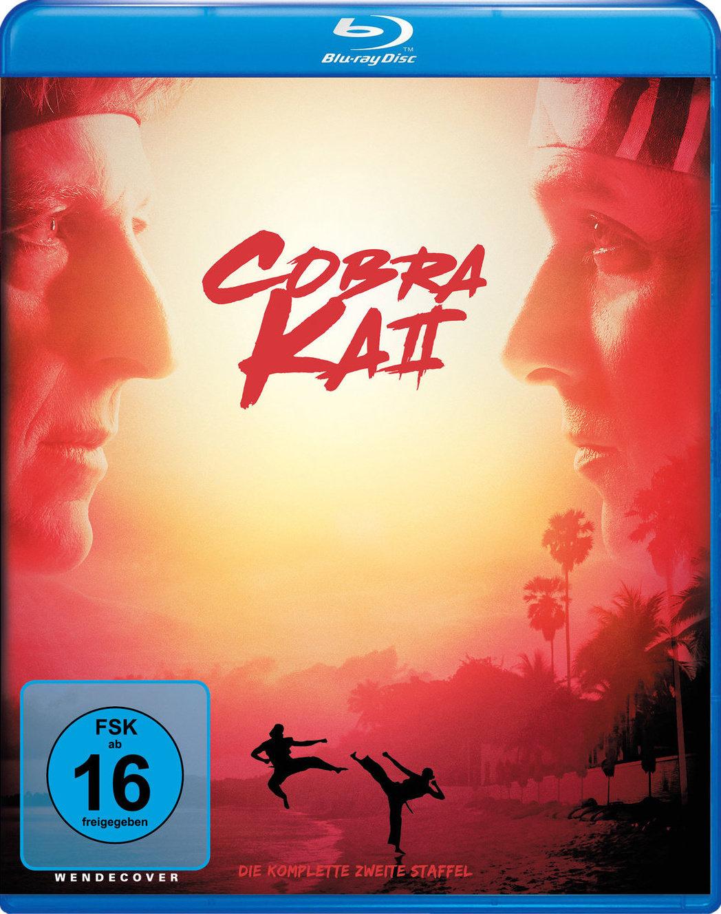 Cobra Kai - Staffel 2  [2 BRs]