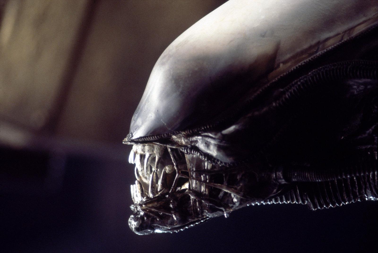 Produktbild Alien 1  [DC] 8 von 12