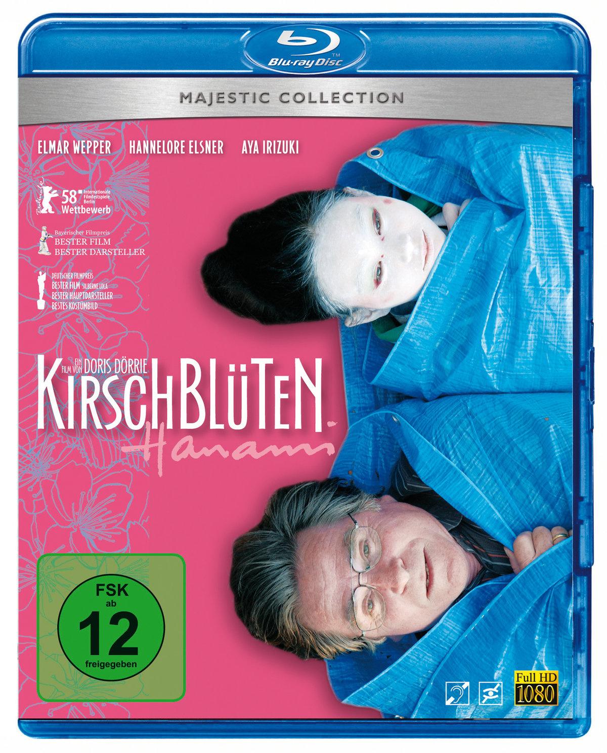 Kirschblüten - Hanami