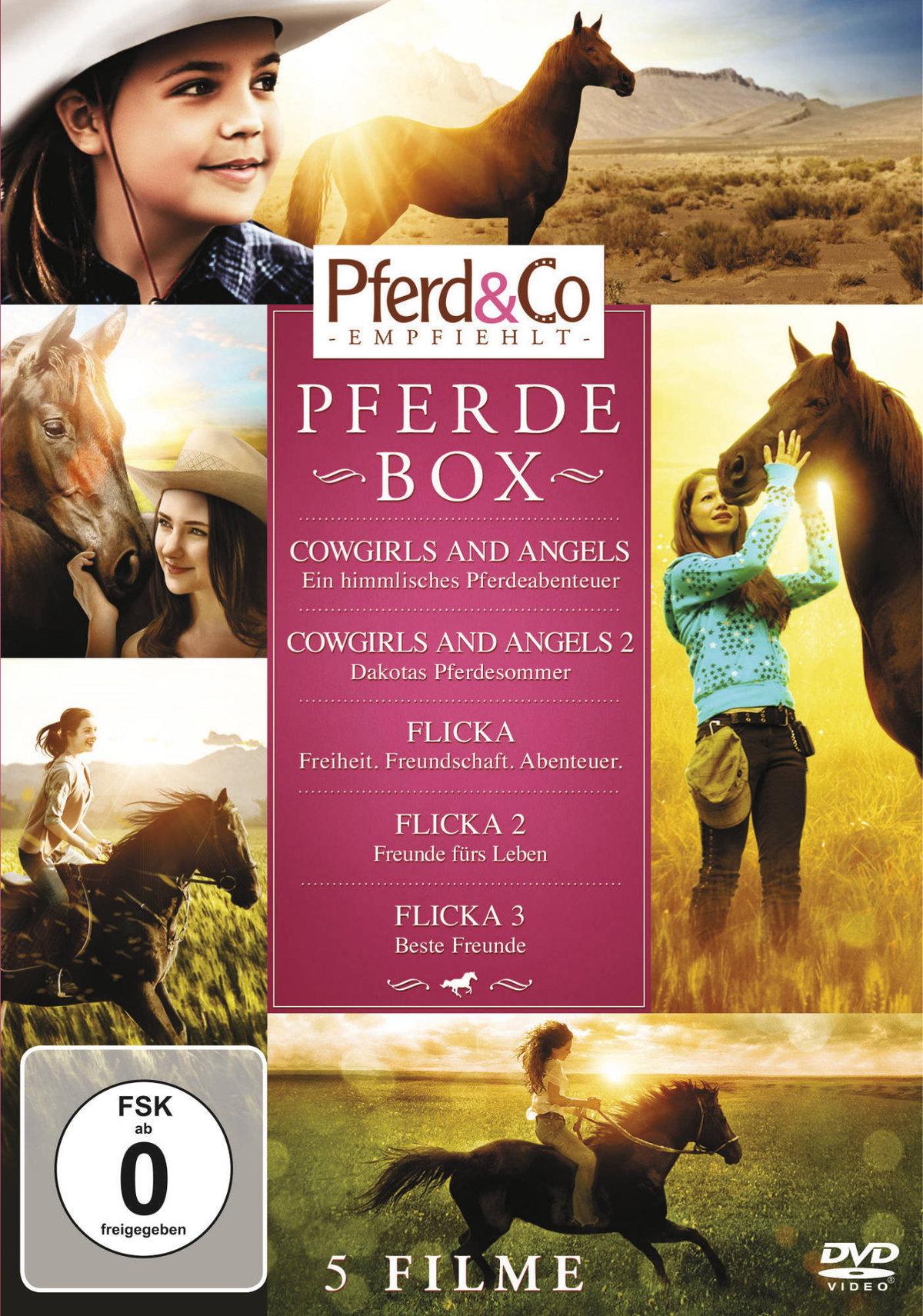 Pferde  Box  [5 DVDs]
