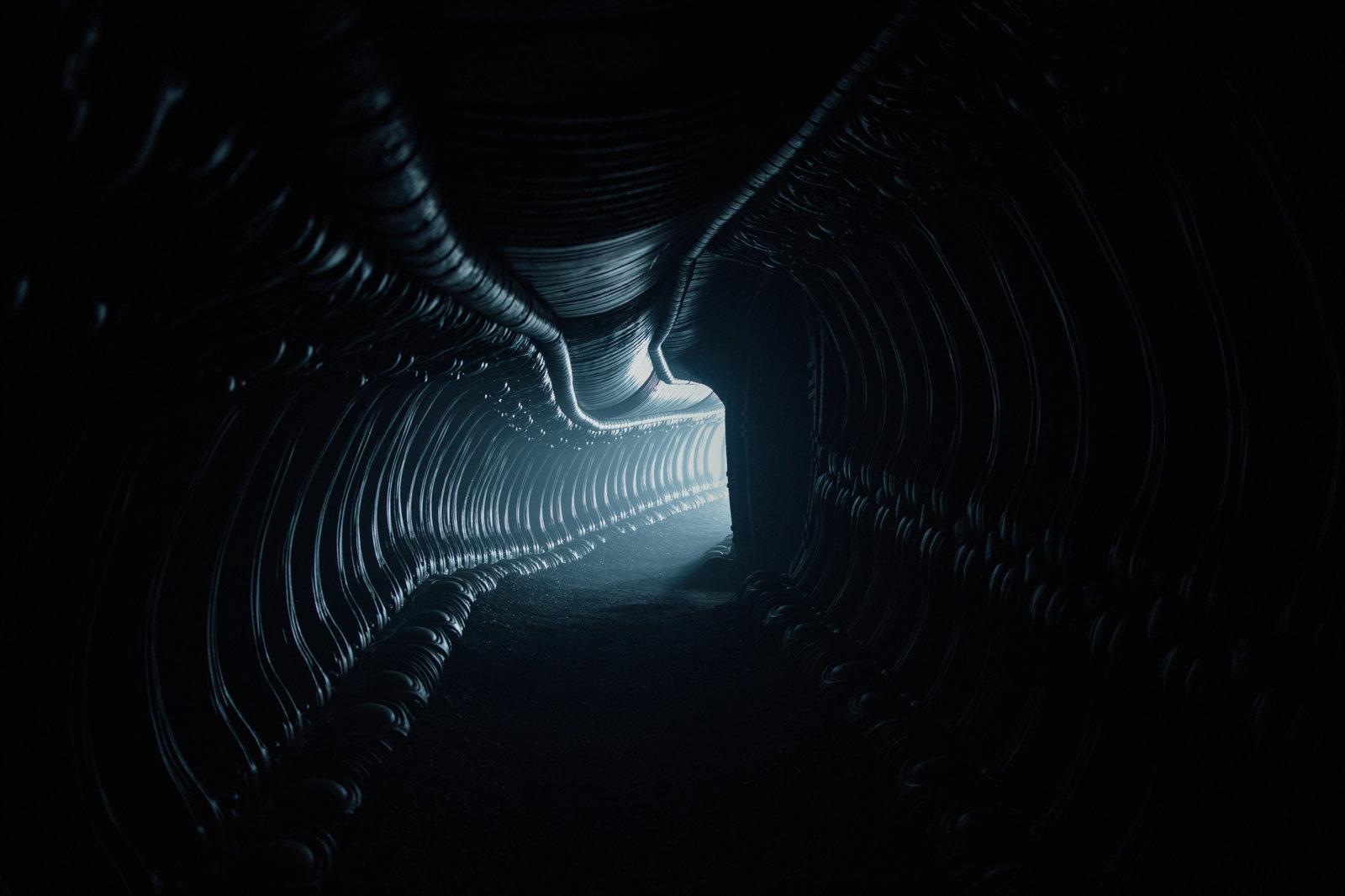 Produktbild Alien: Covenant 4 von 12