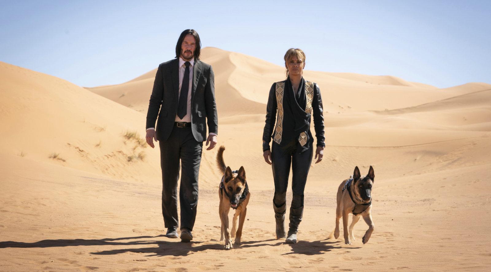 Produktbild John Wick: Kapitel 3 10 von 12