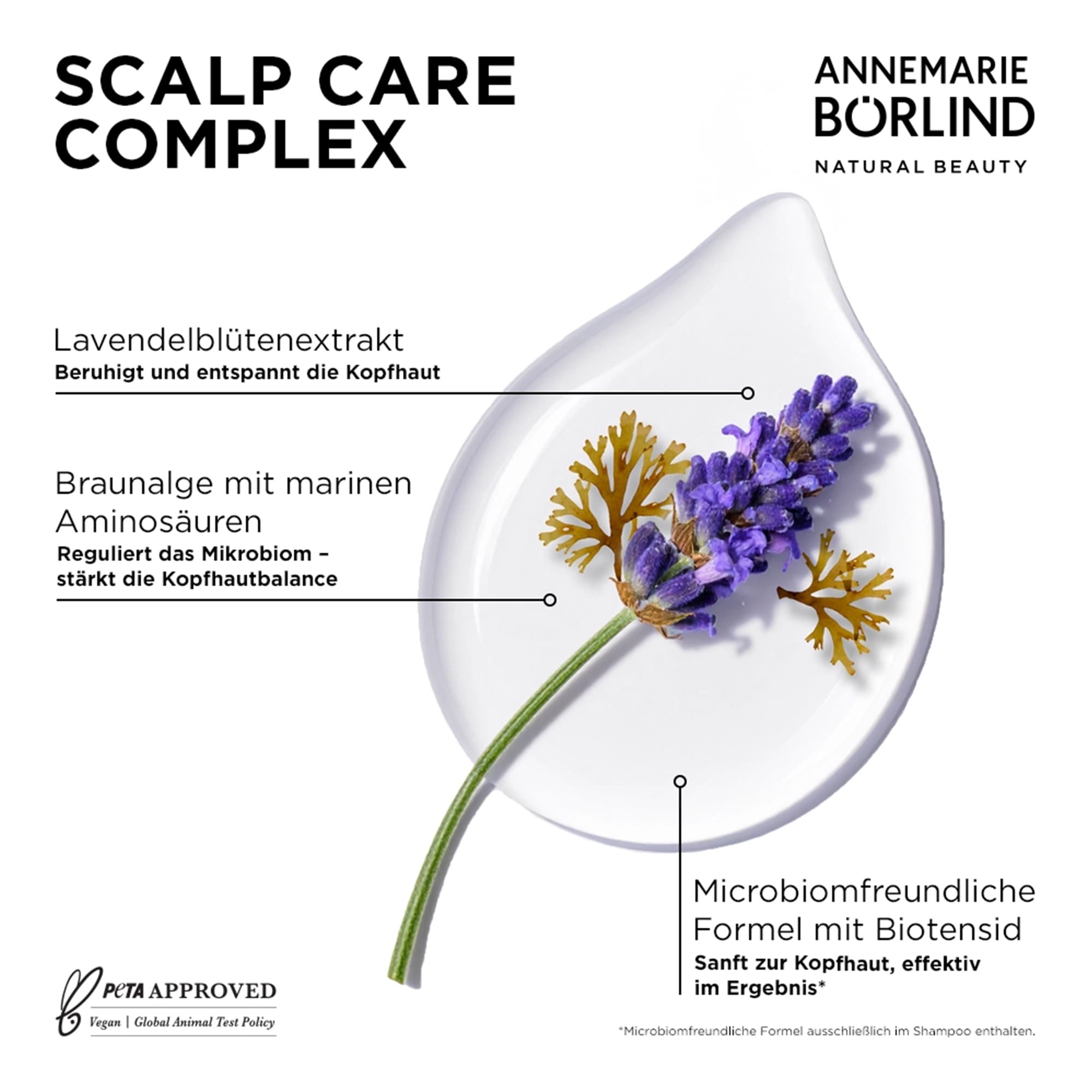 Produktbild ANNEMARIE BÖRLIND Hair Care Balance Shampoo 9 von 10
