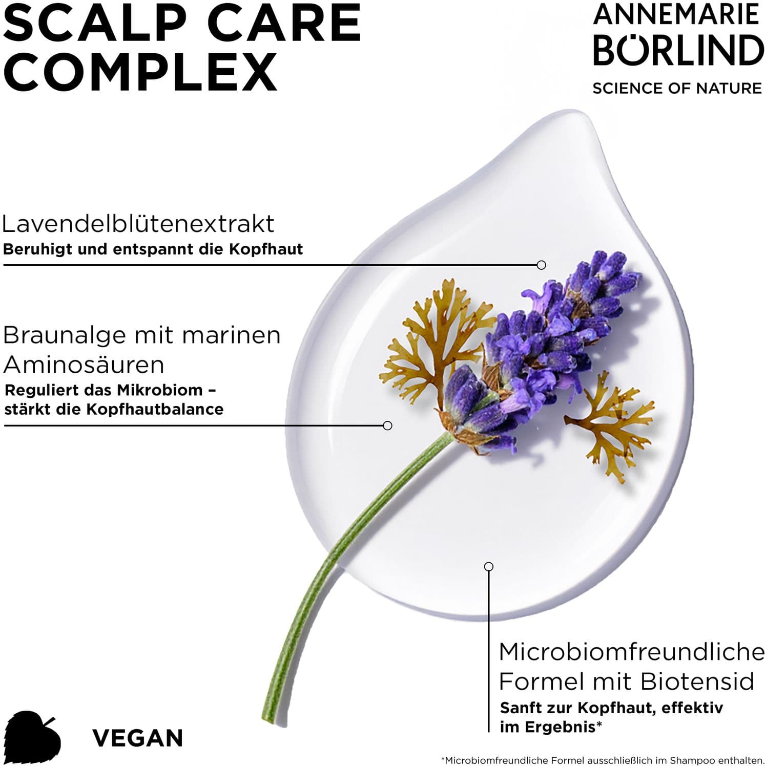 Champú equilibrante para el cuidado del cabello ANNEMARIE BÖRLIND