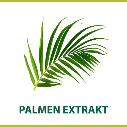 Produktbild Palmolive Rasiercreme für Männer mit pflegendem Palmenextrakt für eine sanfte Rasur 6 von 6