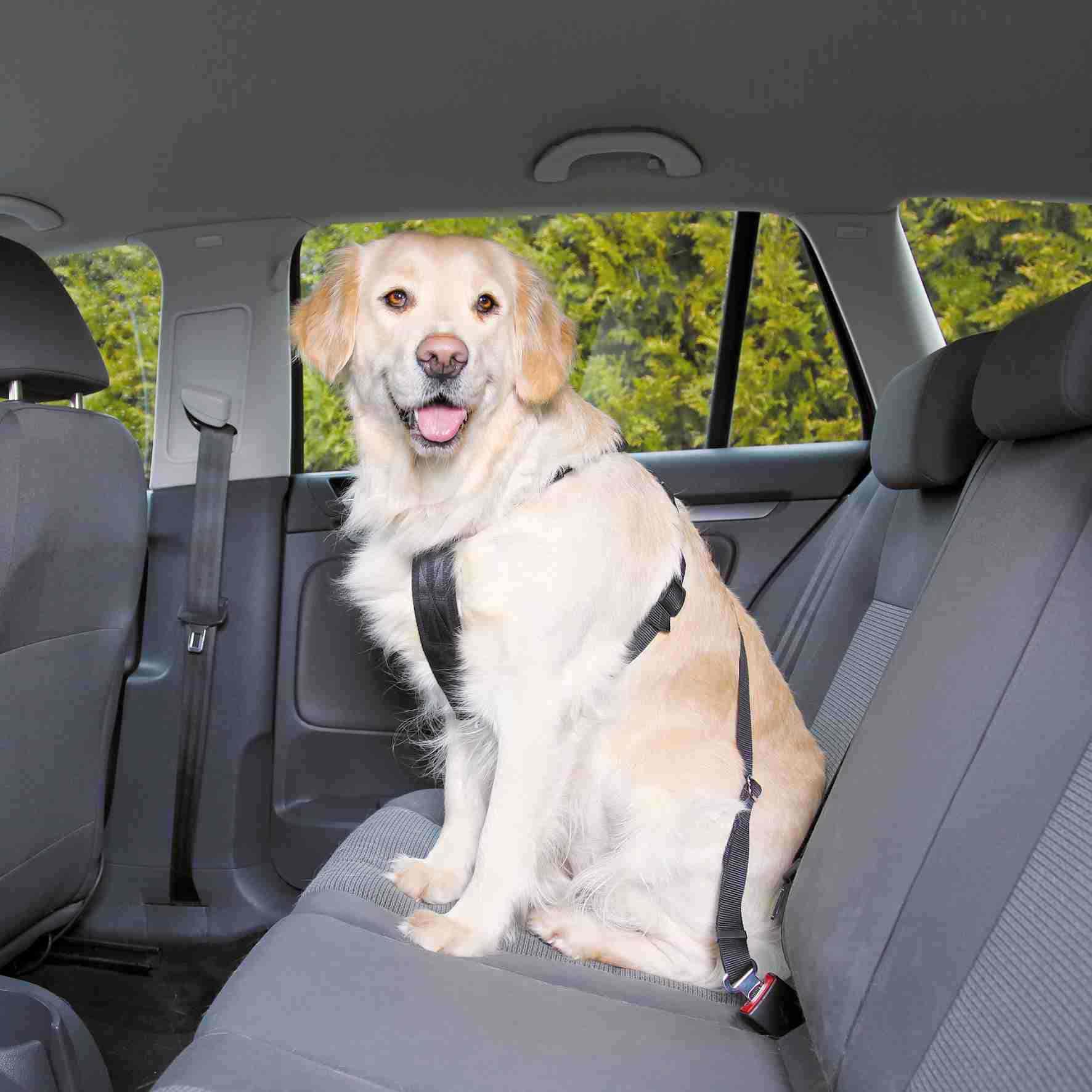 Trixie Auto-Sicherheitsgeschirr schwarz S 30-60 cm Hundezubehör