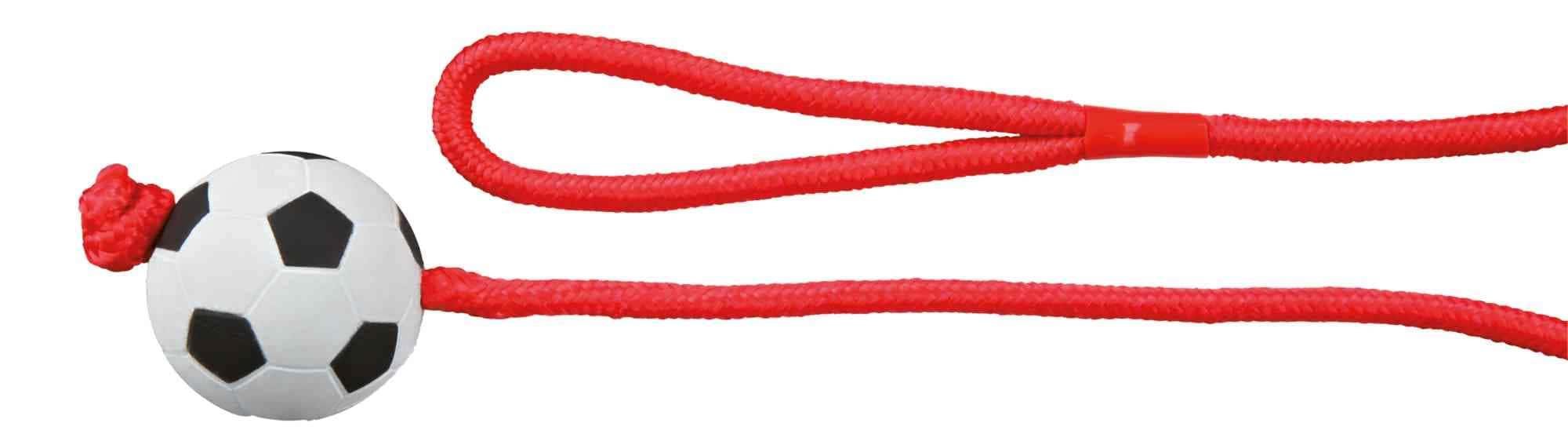 Trixie Moosgummi Fußball am Seil ø 6 cm / 1,00 m Hunde Spielzeug