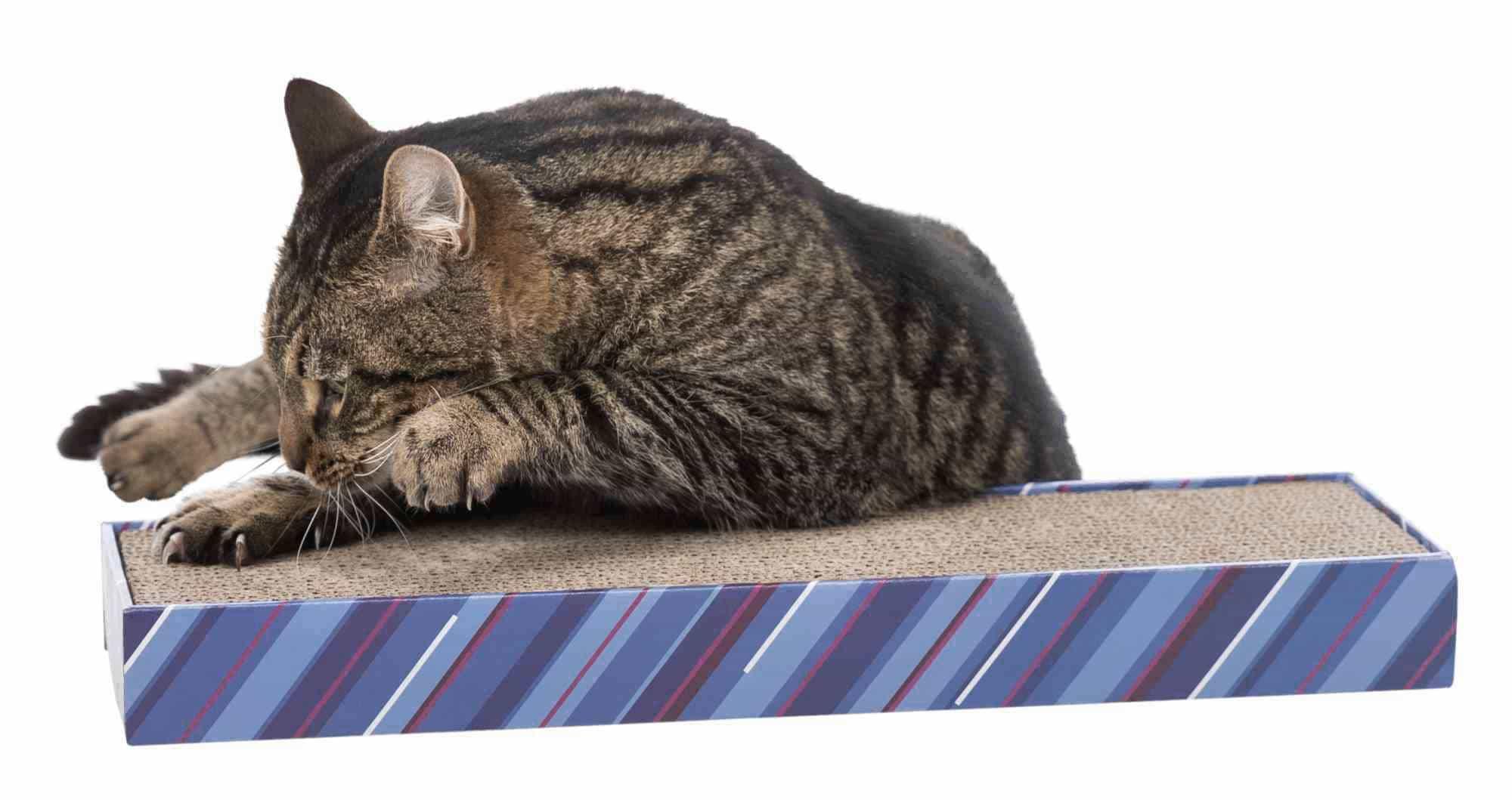 Trixie Kratzpappe Scratchy 48 x 13 x 5 cm bunt Katzenzubehör