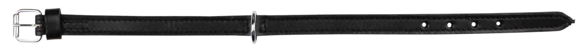 Trixie Halsband Active XS-S schwarz 27-32 cm / 14 mm Hunde Zubehör