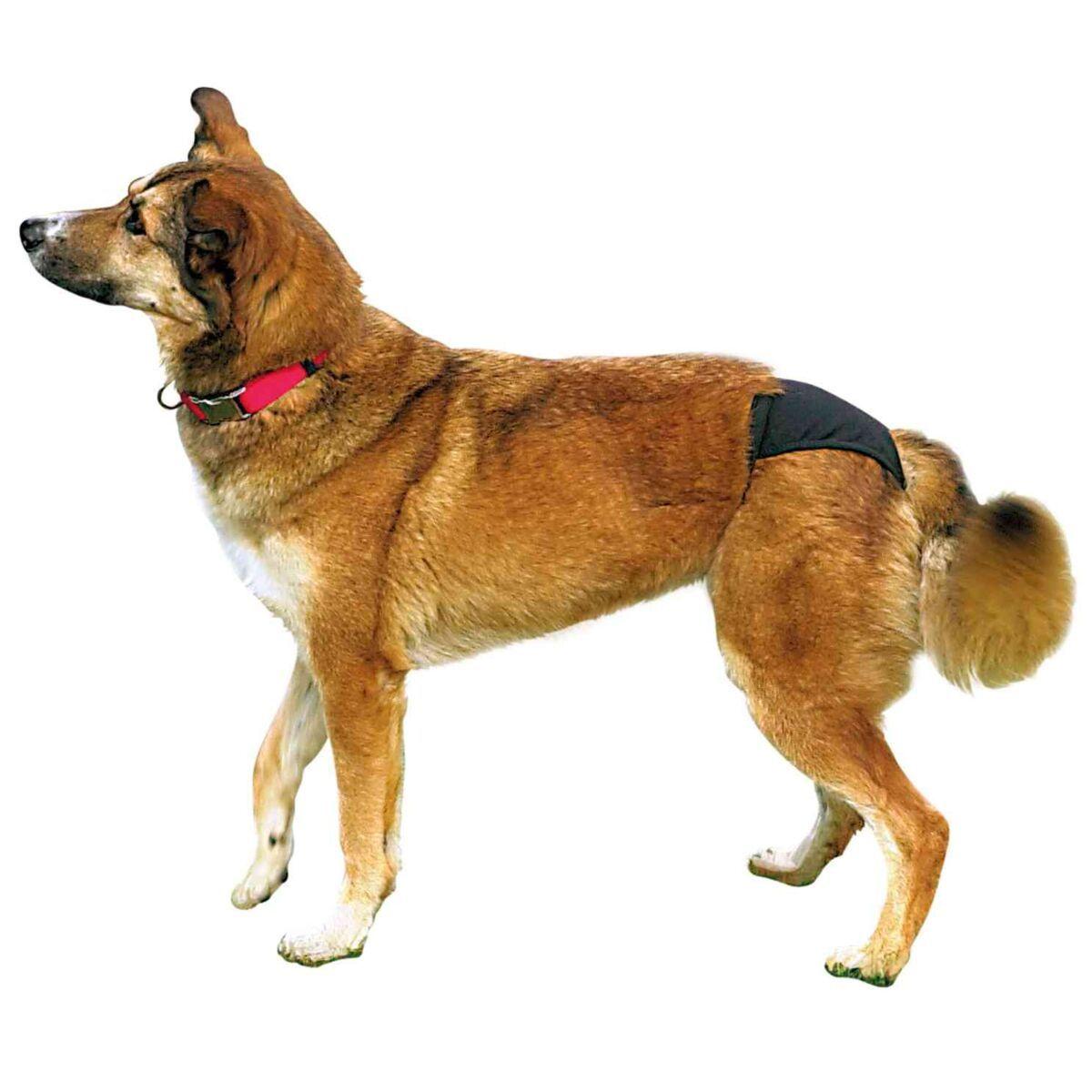 Trixie Hunde Schutzhöschen schwarz L 50-59cm