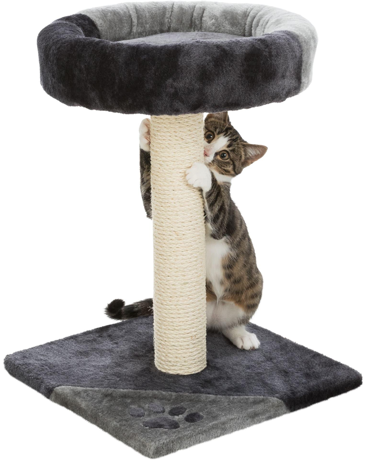 Trixie Kratzbaum Tarifa grau/schwarz 52 cm Katzenzubehör