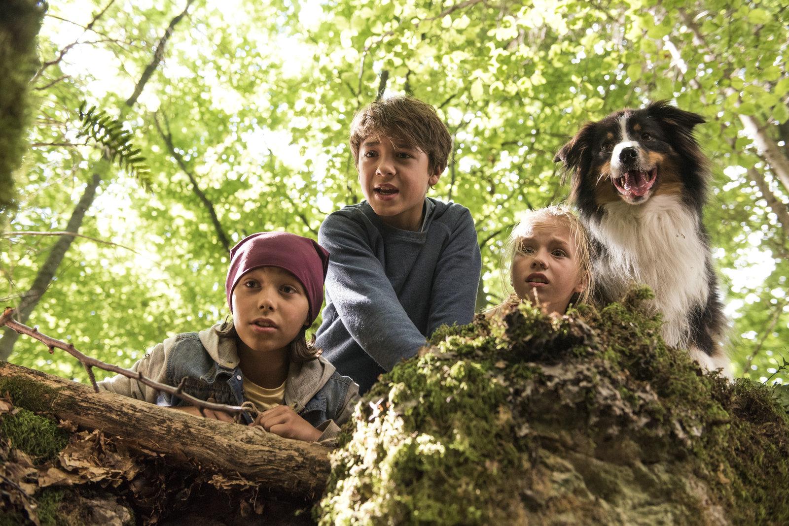 Produktbild Fünf Freunde und das Tal der Dinosaurier 11 von 12