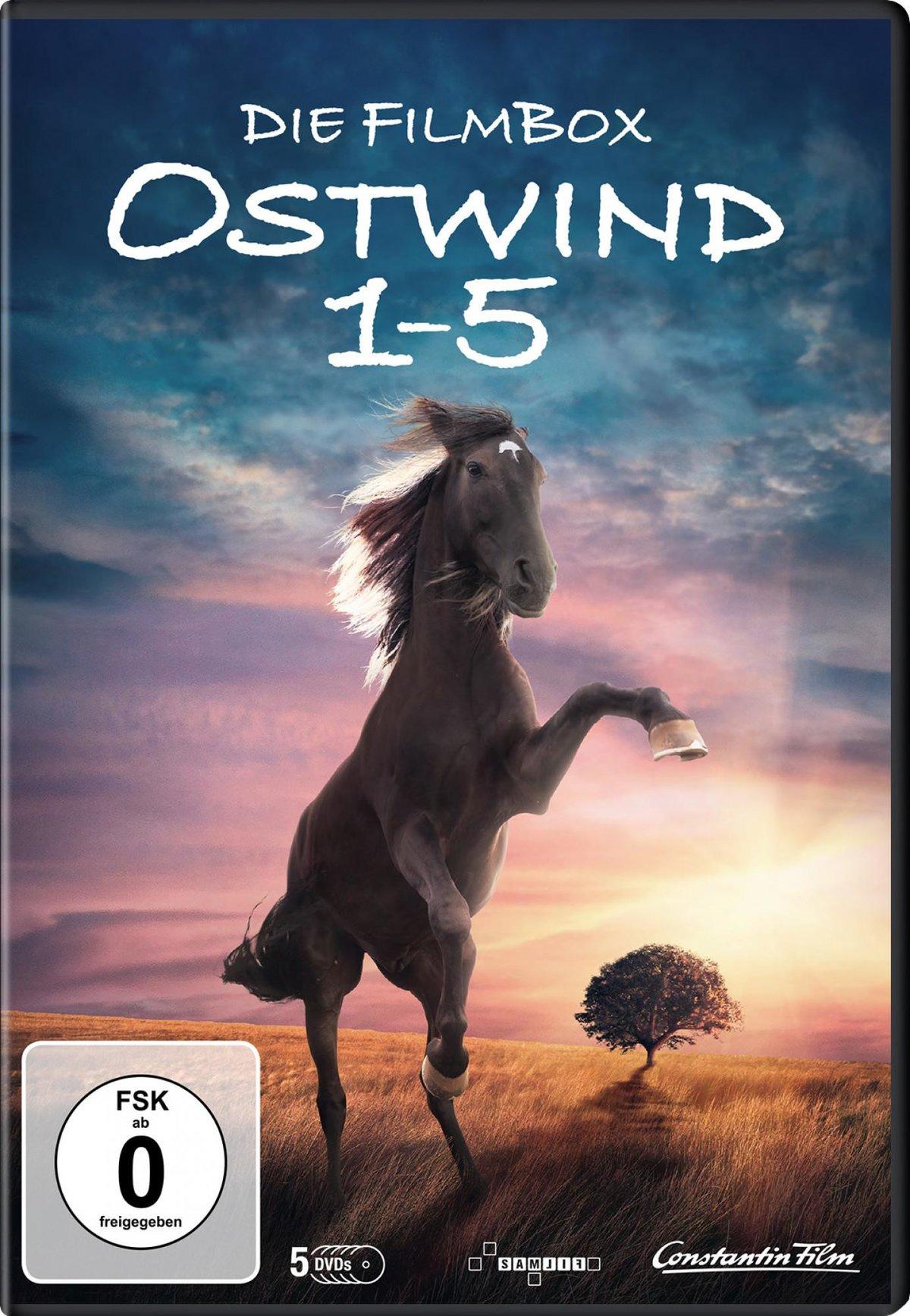 Ostwind 1-5  [5 DVDs]