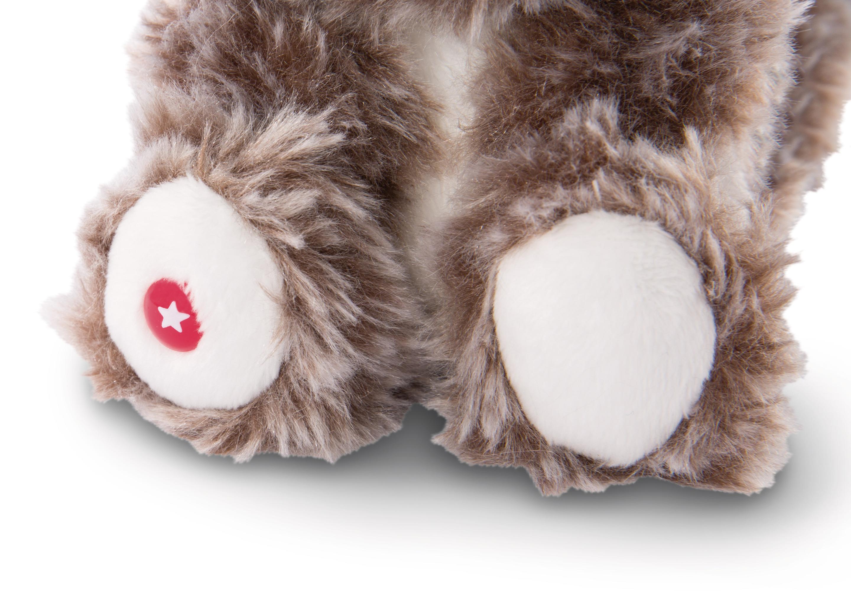 Produktbild NICI Glubschis Schlenker Waschbär Clooney 15cm 2 von 3