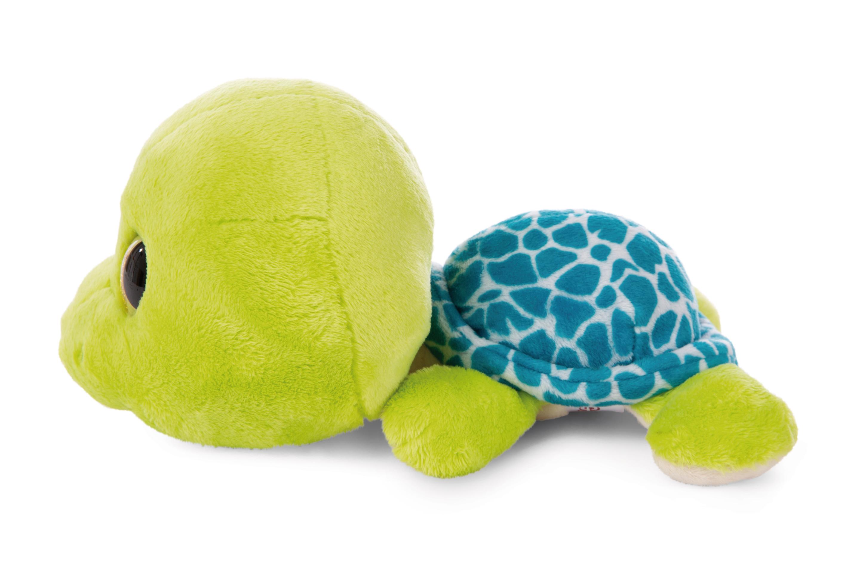 Produktbild NICI GLUBSCHIS TURTLESCHILDKRÖTE WELLONI 25CM 5 von 5