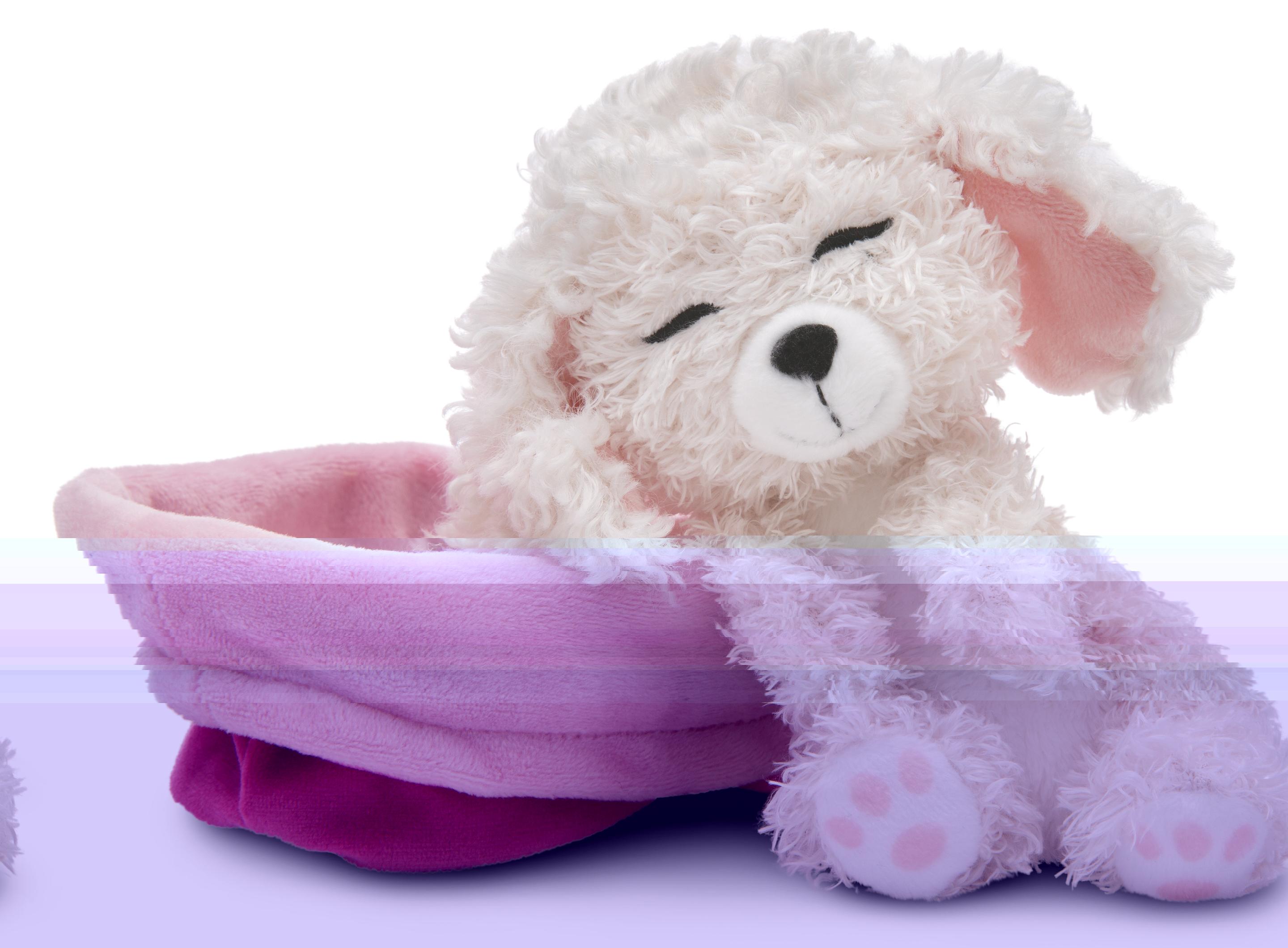 Produktbild NICI Kuscheltier Hund Pudel im Körbchen 12cm GREEN 2 von 6