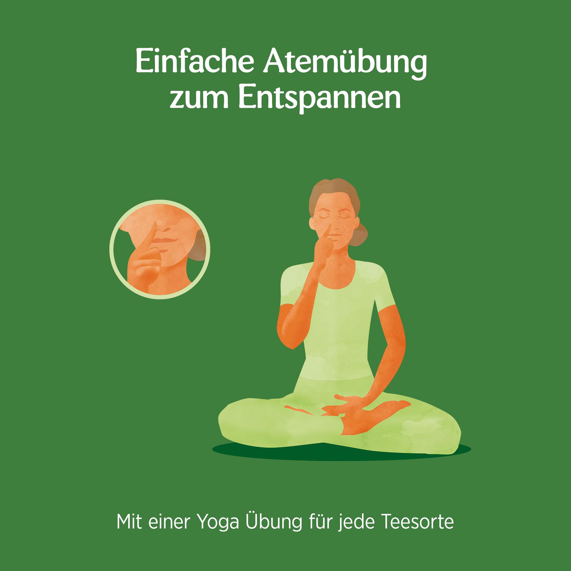 Produktbild YOGI TEA Bio Geürzteemischung Tulsi Gelassenheit 6 von 6