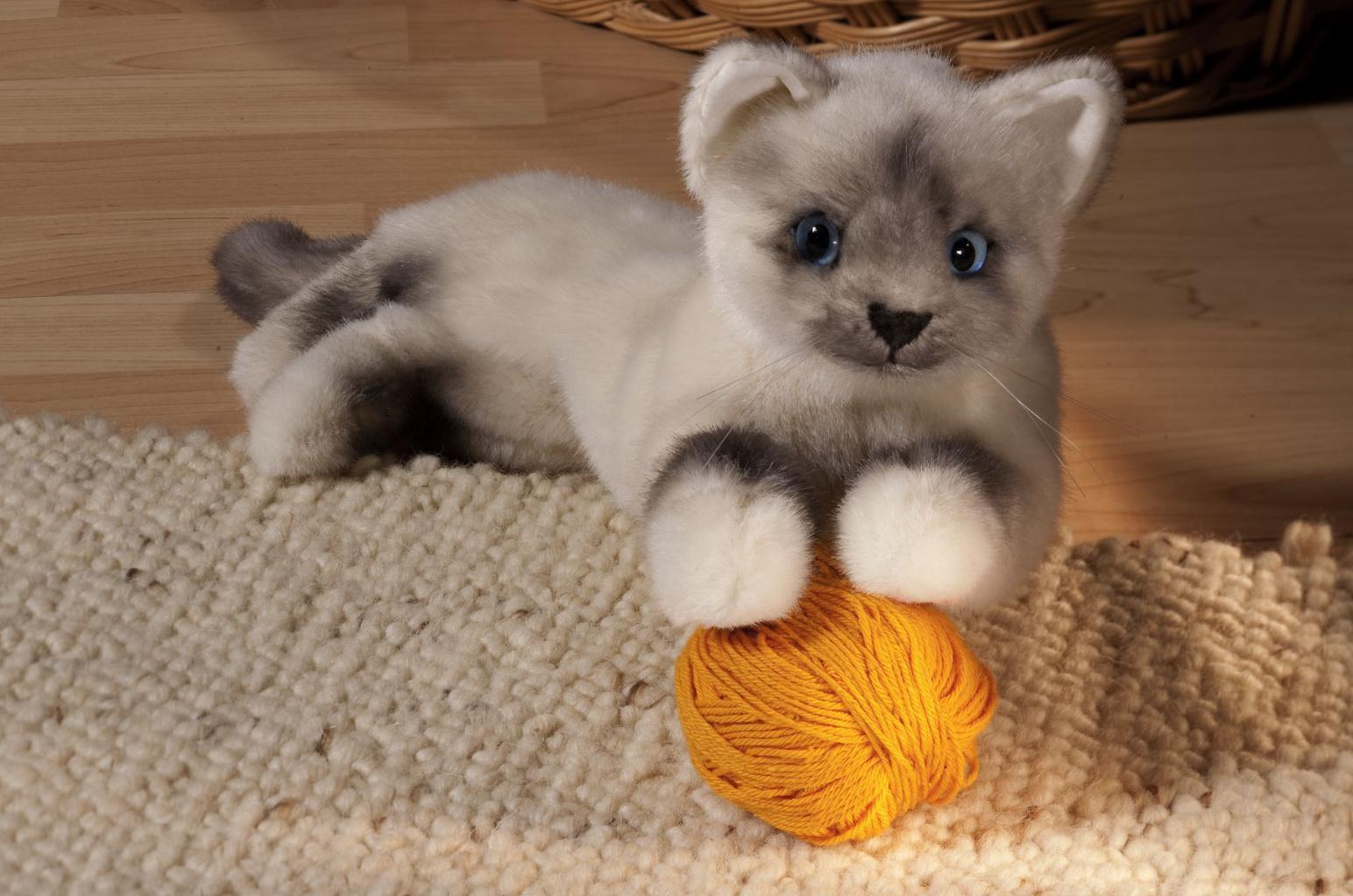 Kösen - Kleine Birmakatze, liegend