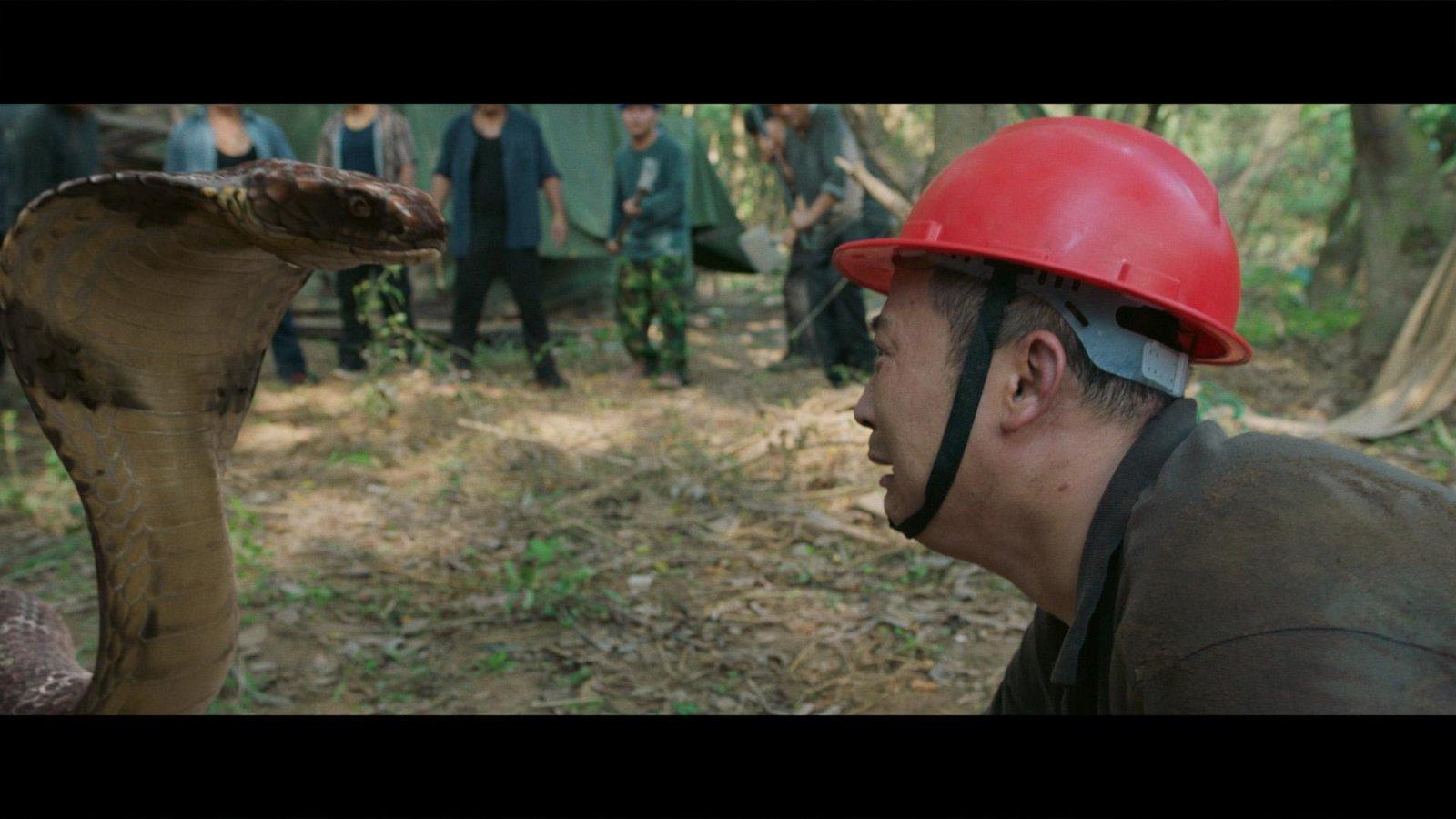Produktbild King Serpent Island 8 von 10