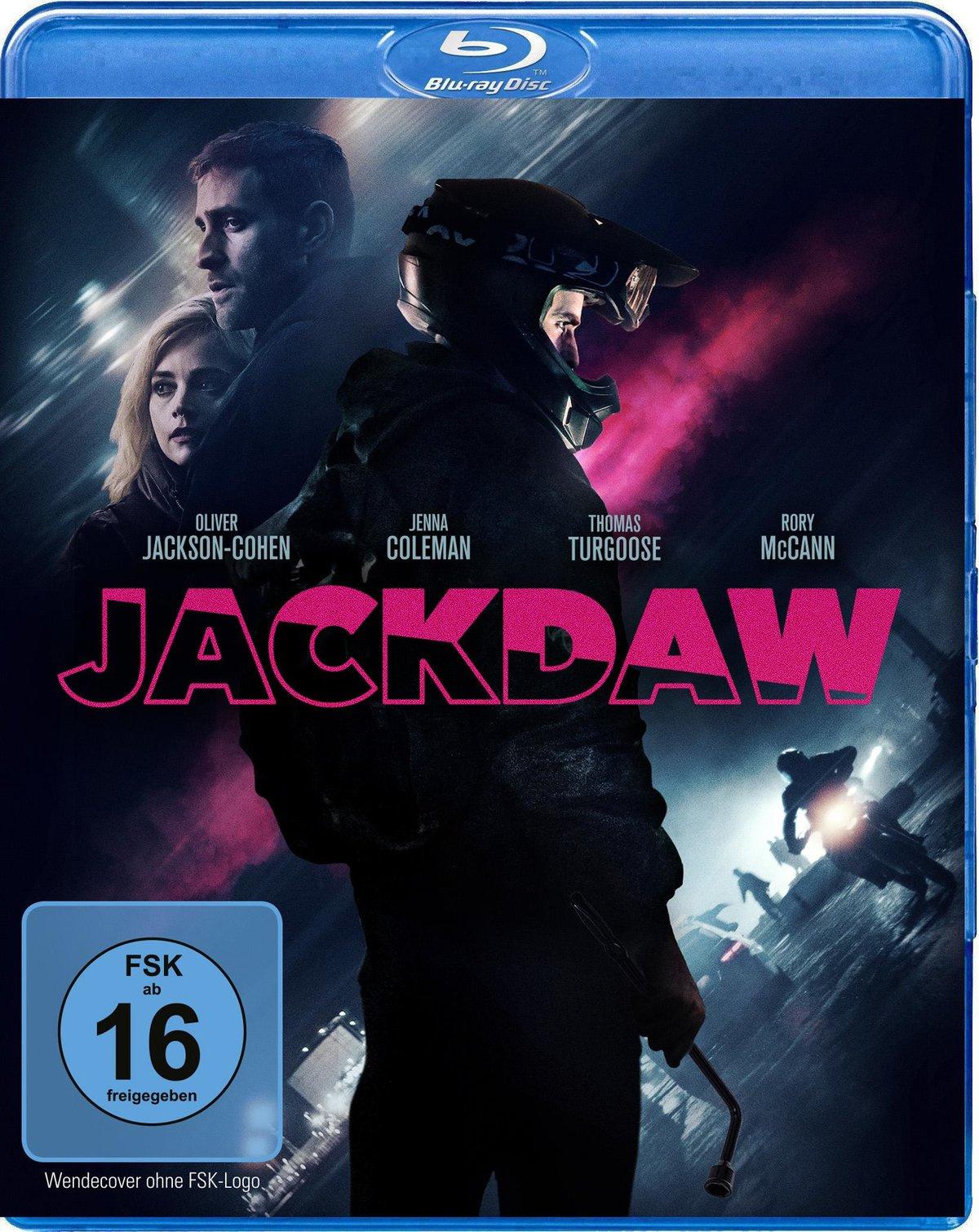 Jackdaw