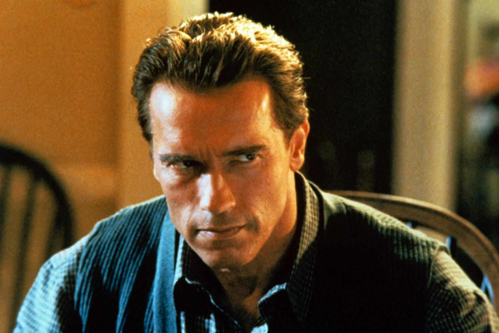 Produktbild True Lies 5 von 12