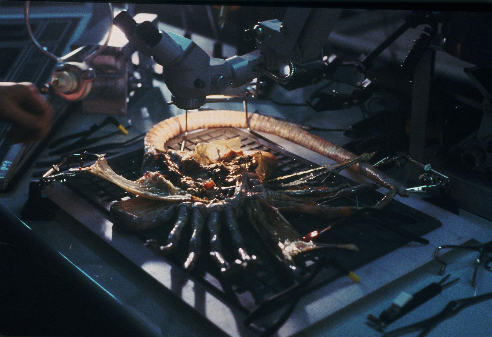 Produktbild Aliens - Die Rückkehr  (4K Ultra HD) (+ Blu-ray) 9 von 12