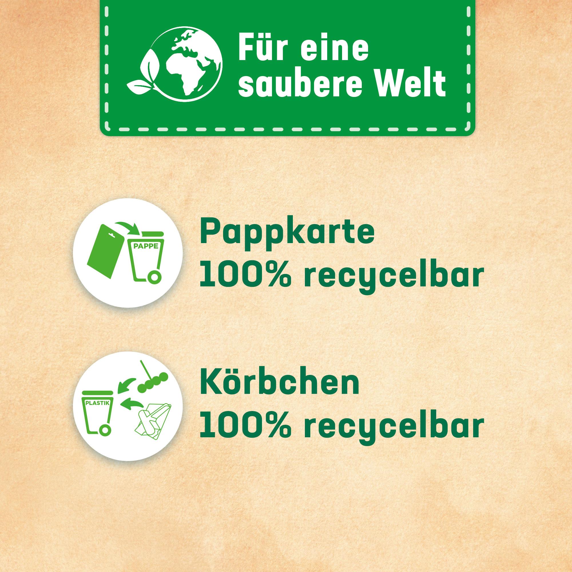 Produktbild WC FRISCH Kraft-Aktiv Blütenfrische 12 von 12