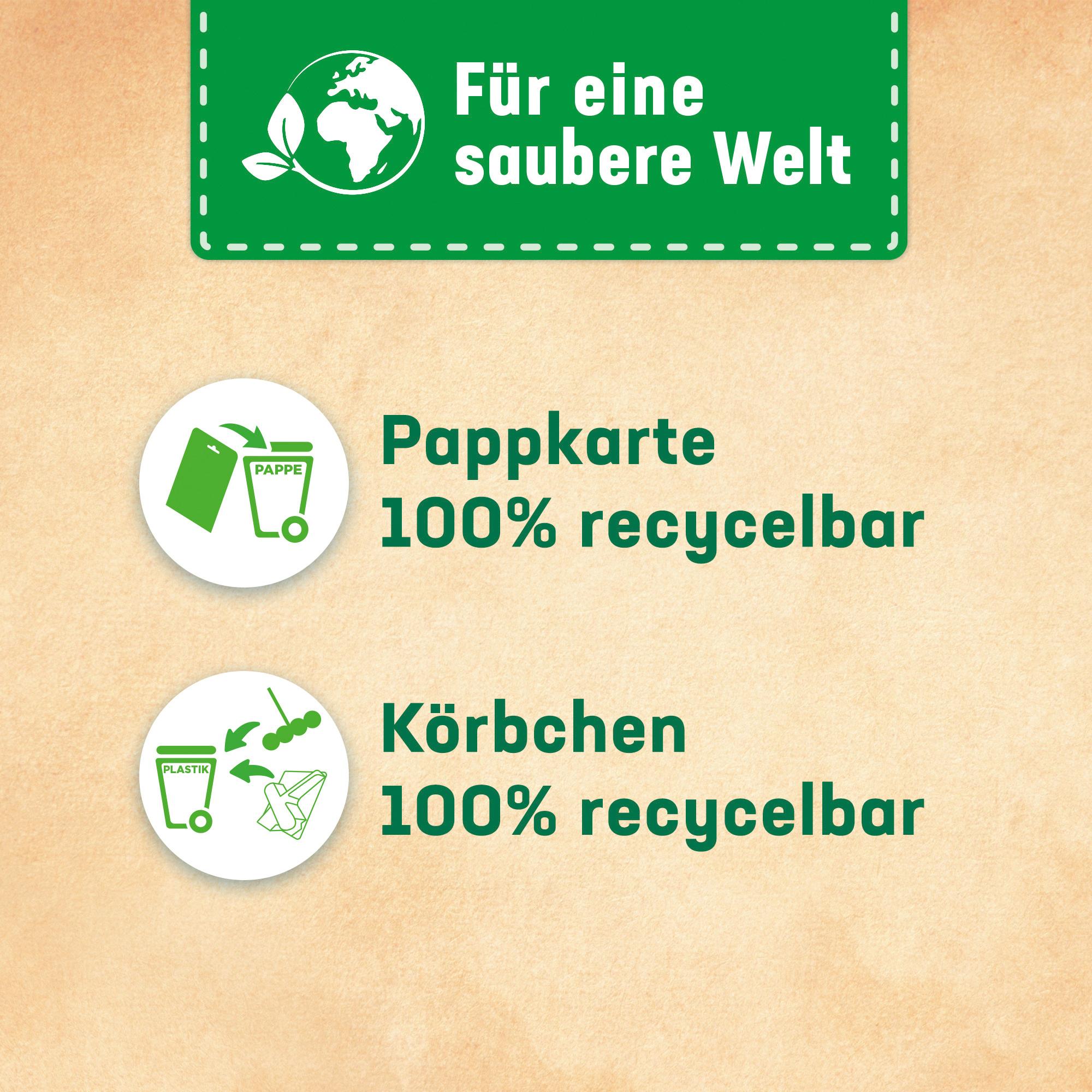 Produktbild WC FRISCH Kraft Aktiv Violettspüler Magnolie 6 von 6