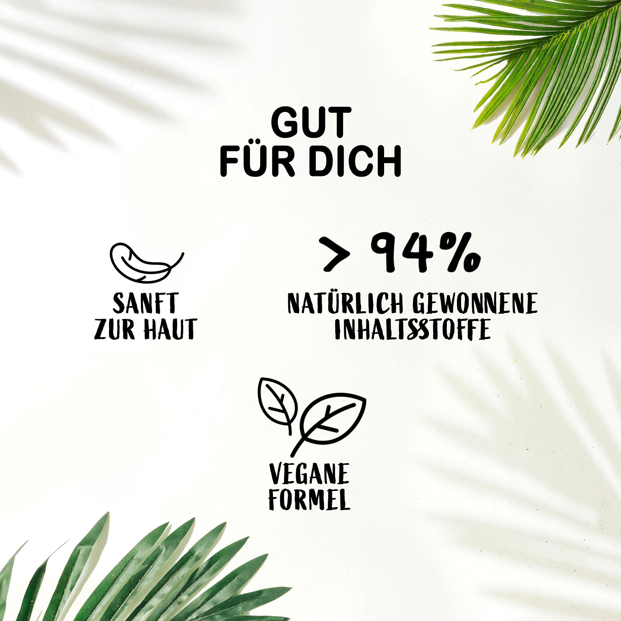 Produktbild FA Vitalisierendes Duschgel Sport 8 von 8
