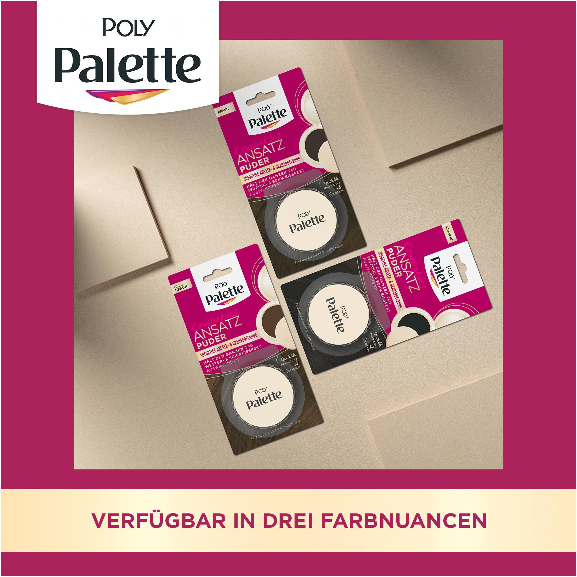 Produktbild POLY PALETTE Coloration Stufe 1 Kompaktes Ansatz Puder Braun 3G 7 von 8