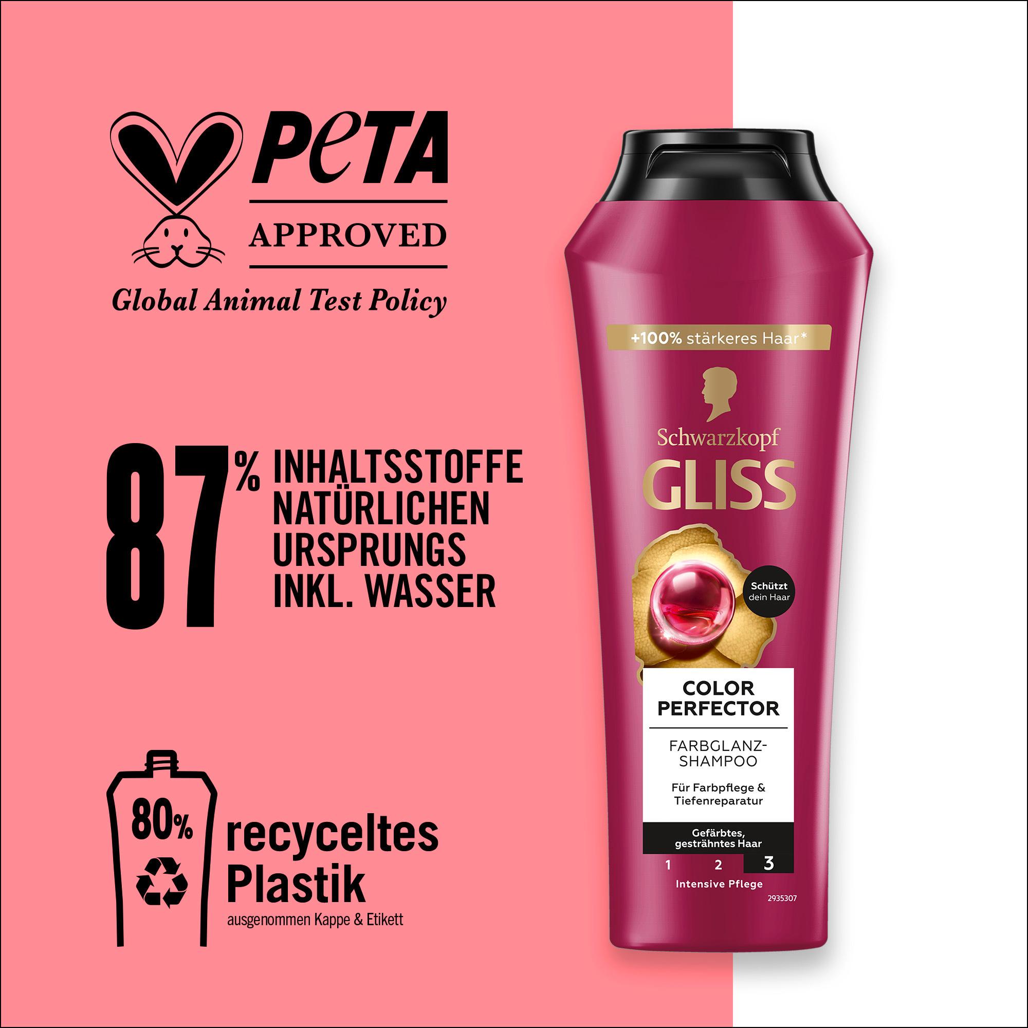 Produktbild GLISS Shampoo Colour Perfector 9 von 9