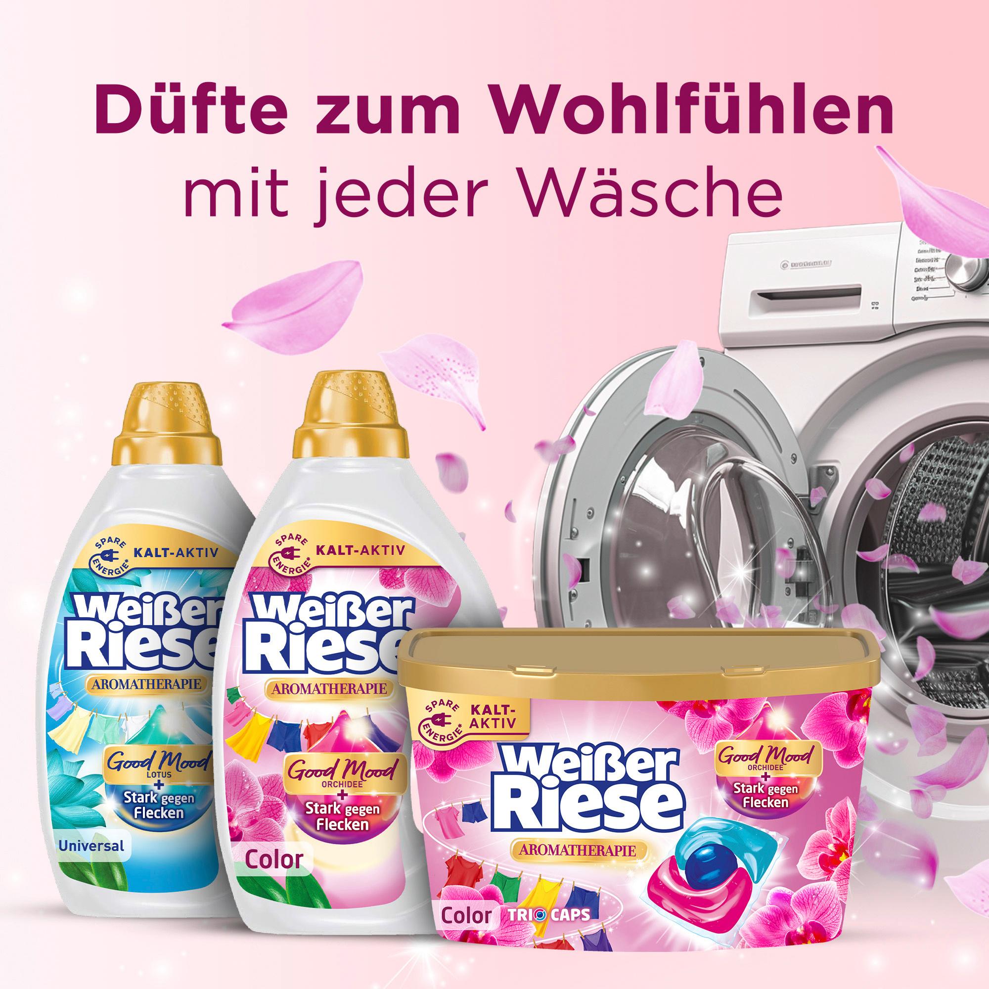 Produktbild Weißer Riese Colorwaschmittel Color Trio-Caps Floral Sensation Orchidee 3 von 10