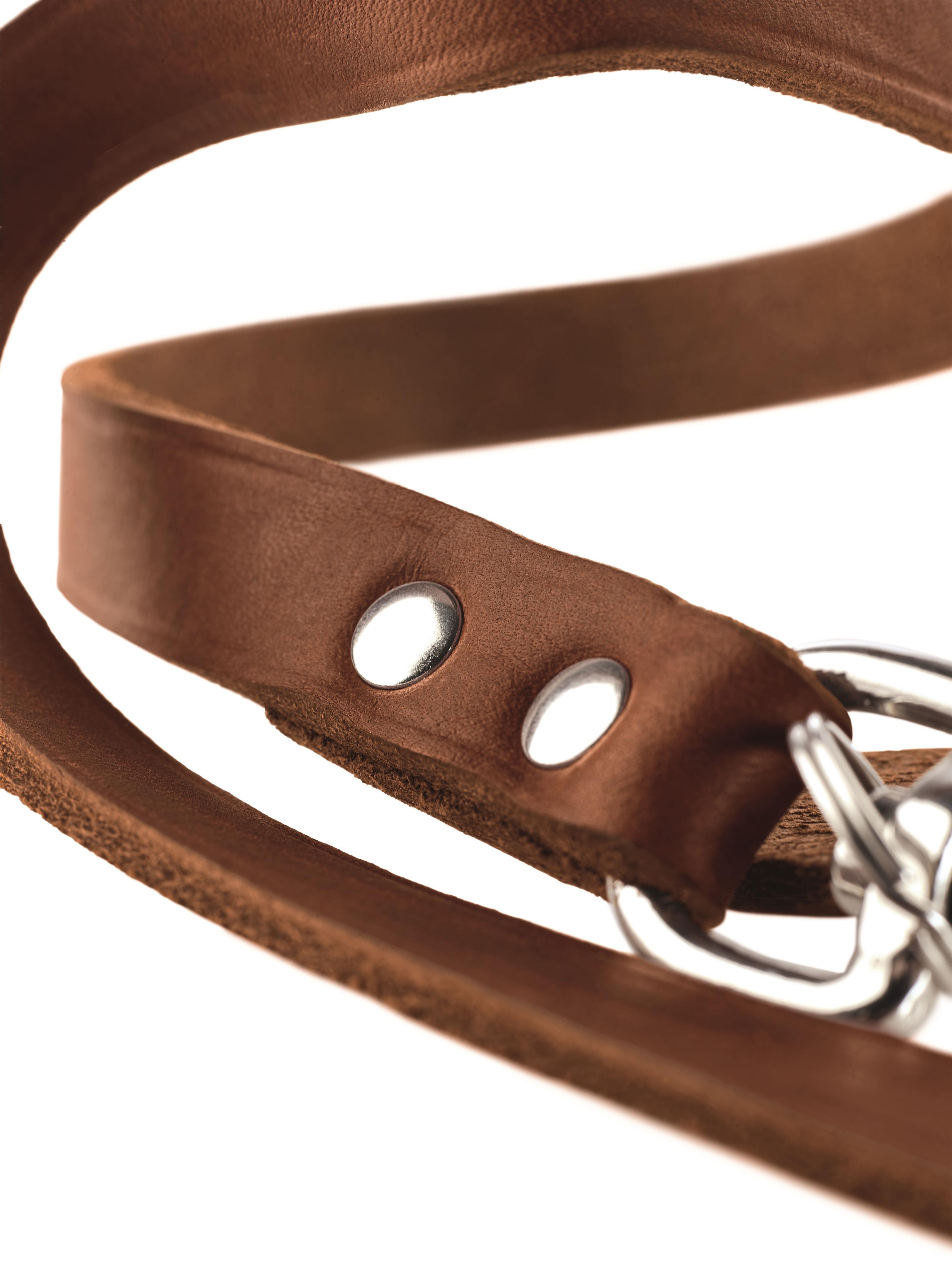 Produktbild Hunter Verstellbare Führleine cognac 13 mm/200 cm 2 von 2