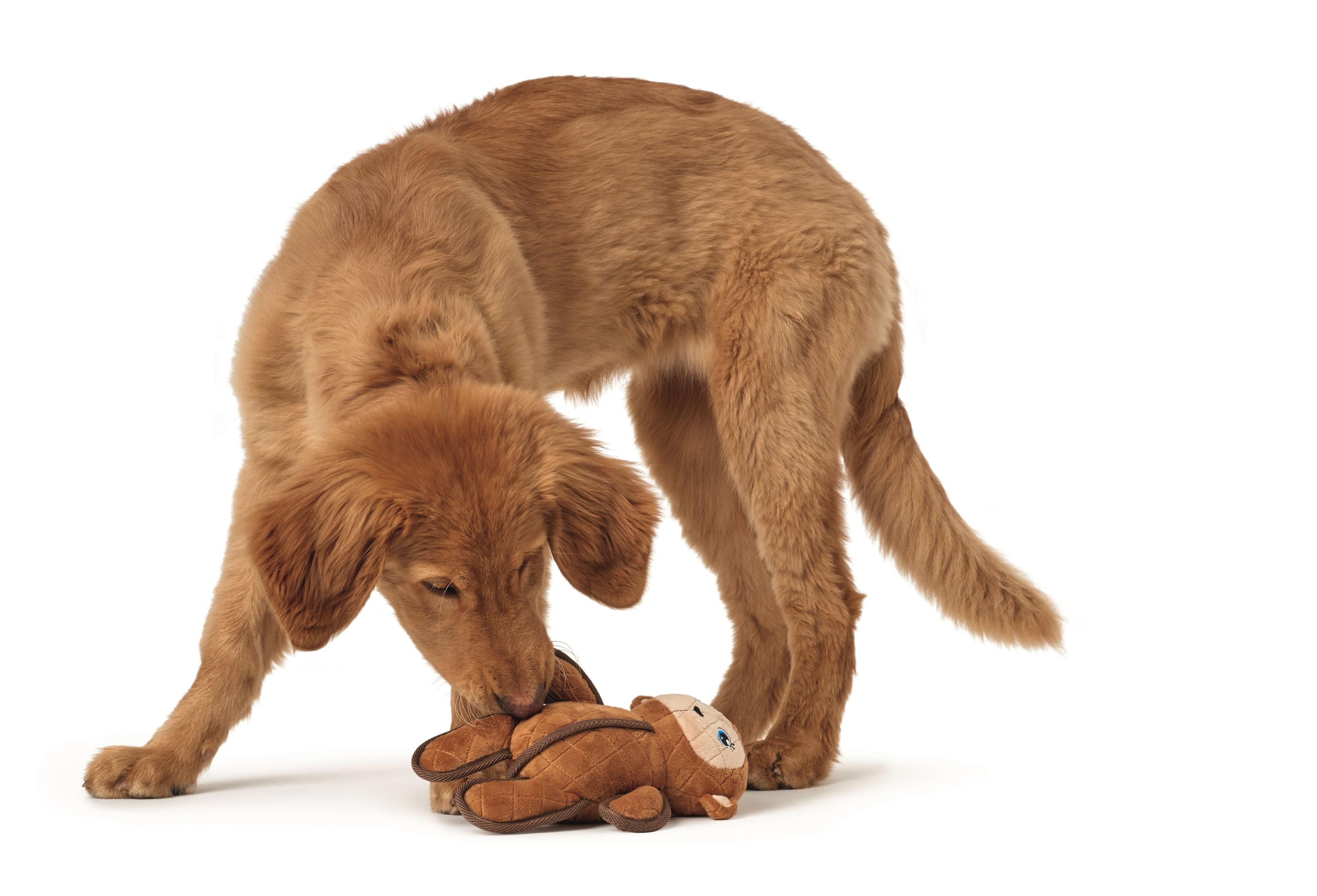 Produktbild Hunter Hundespielzeug Tough Toys Affe 10 cm 2 von 2