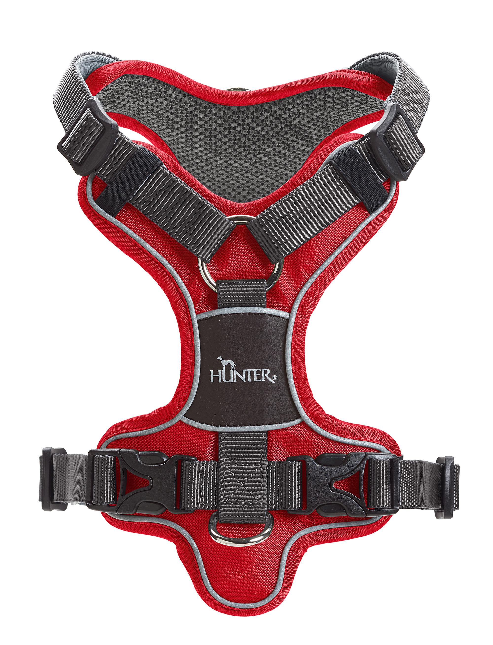 Hunter  Divo Geschirr L  rot/grau