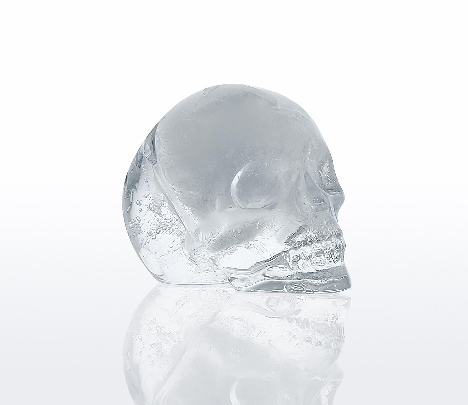 Produktbild cilio Eiswürfelform Cranio 2 von 2