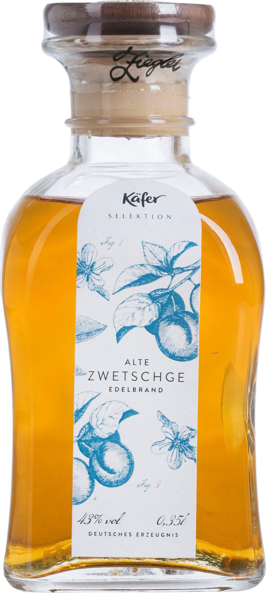 Käfer Alte Zwetschge