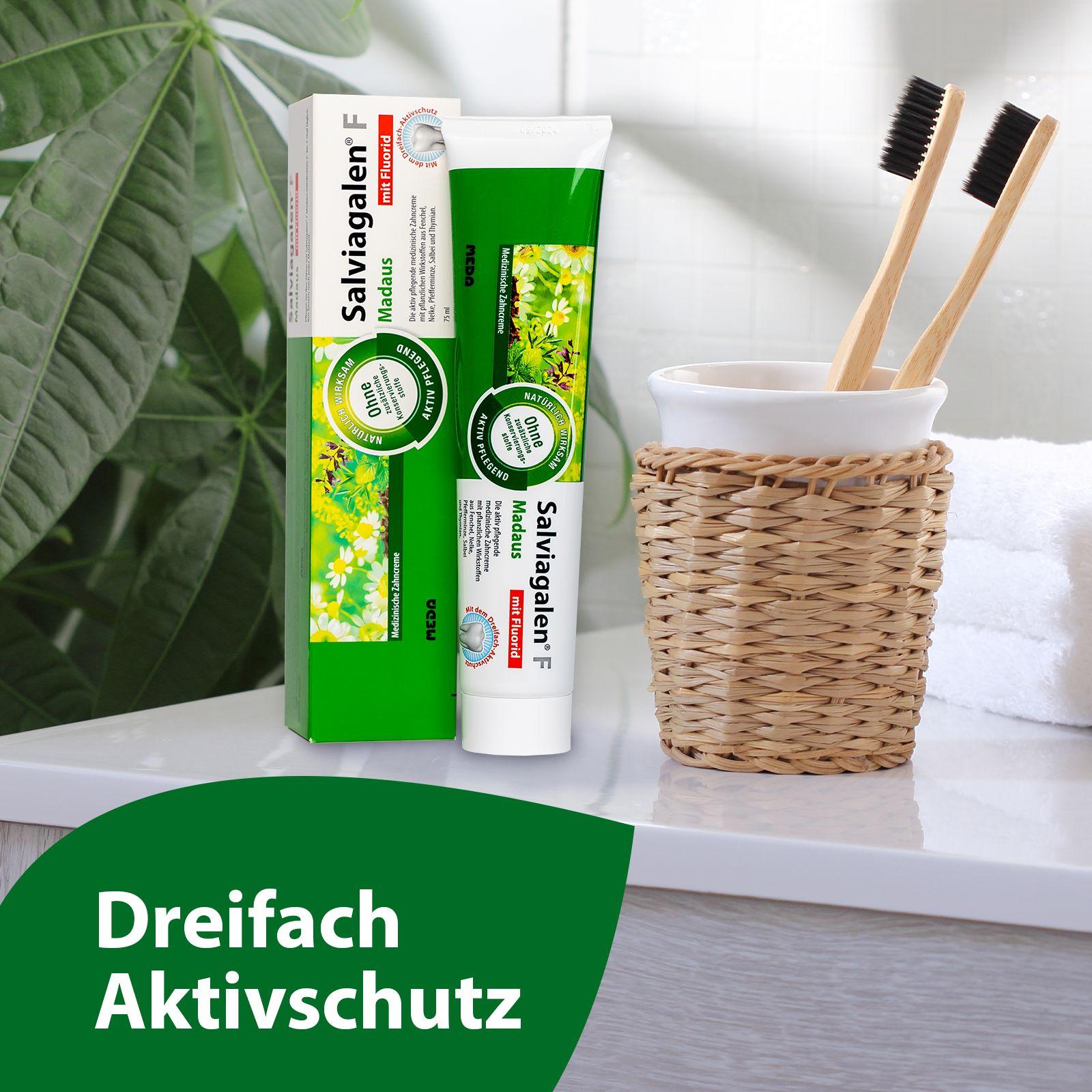 Produktbild Salviagalen F Madaus Zahnpasta 6 von 7