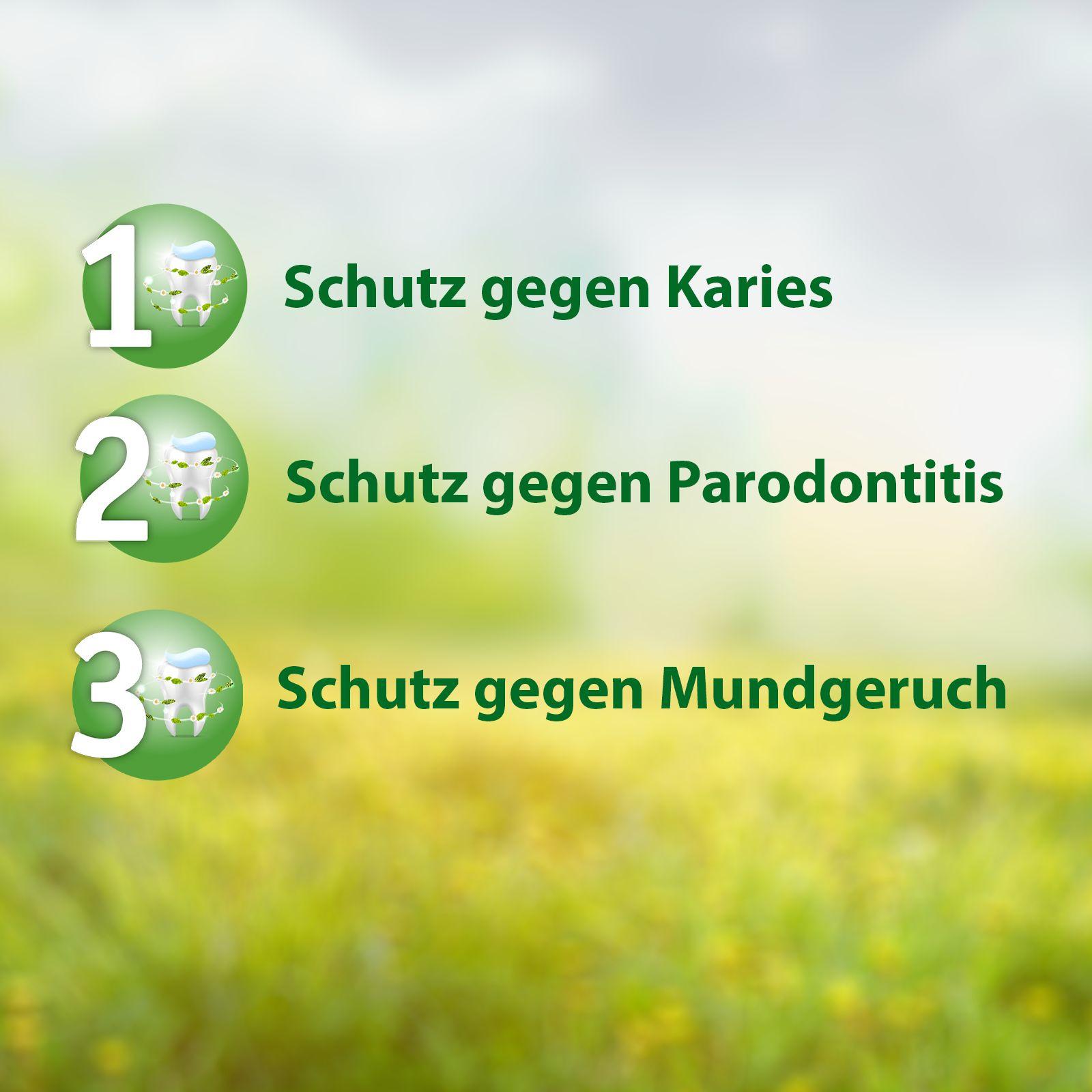 Produktbild Salviagalen F Madaus Zahnpasta 5 von 7
