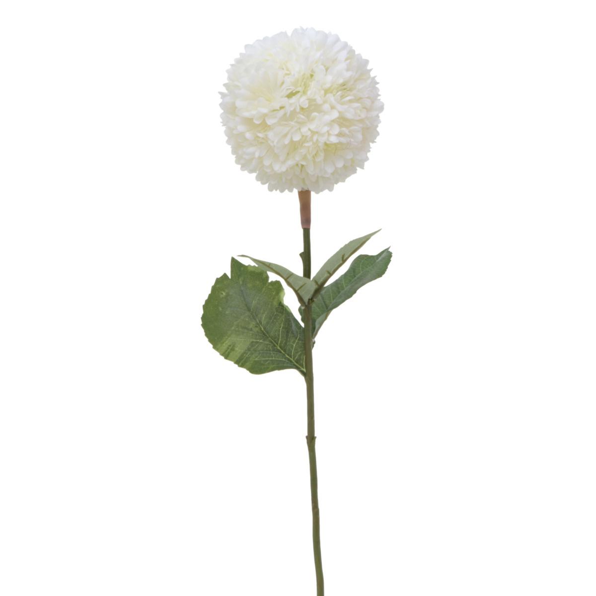 Boltze Stielblume Schneeball