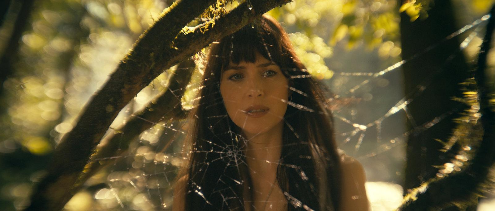 Produktbild Madame Web 4 von 12