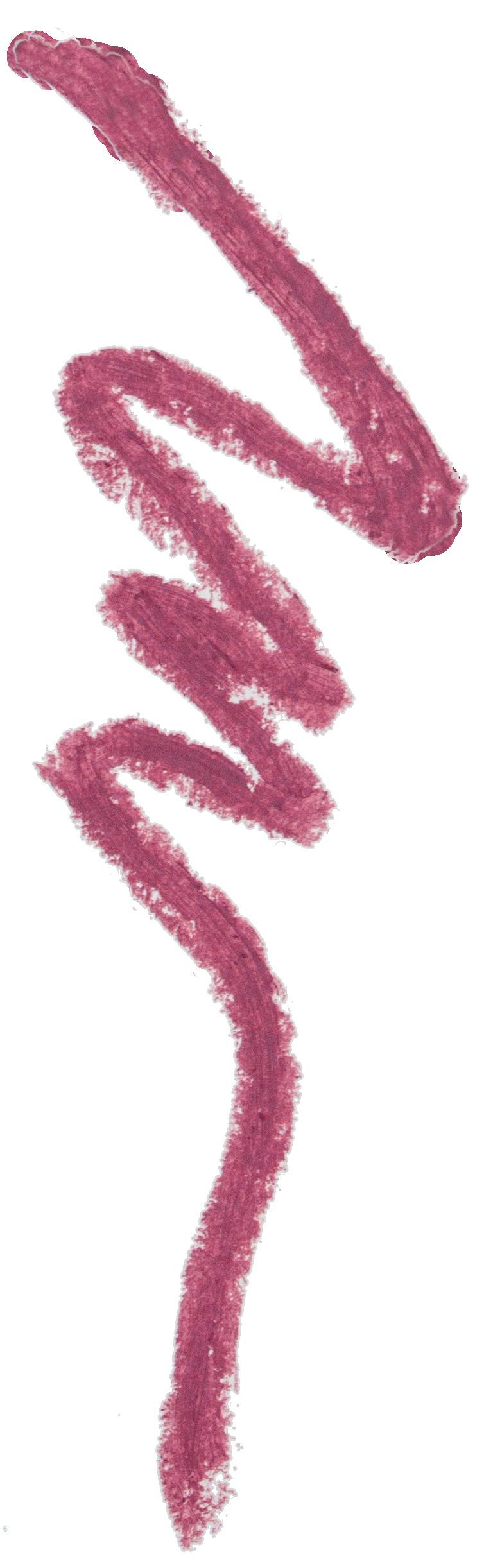 Produktbild lavera Lip Contour 2 von 3