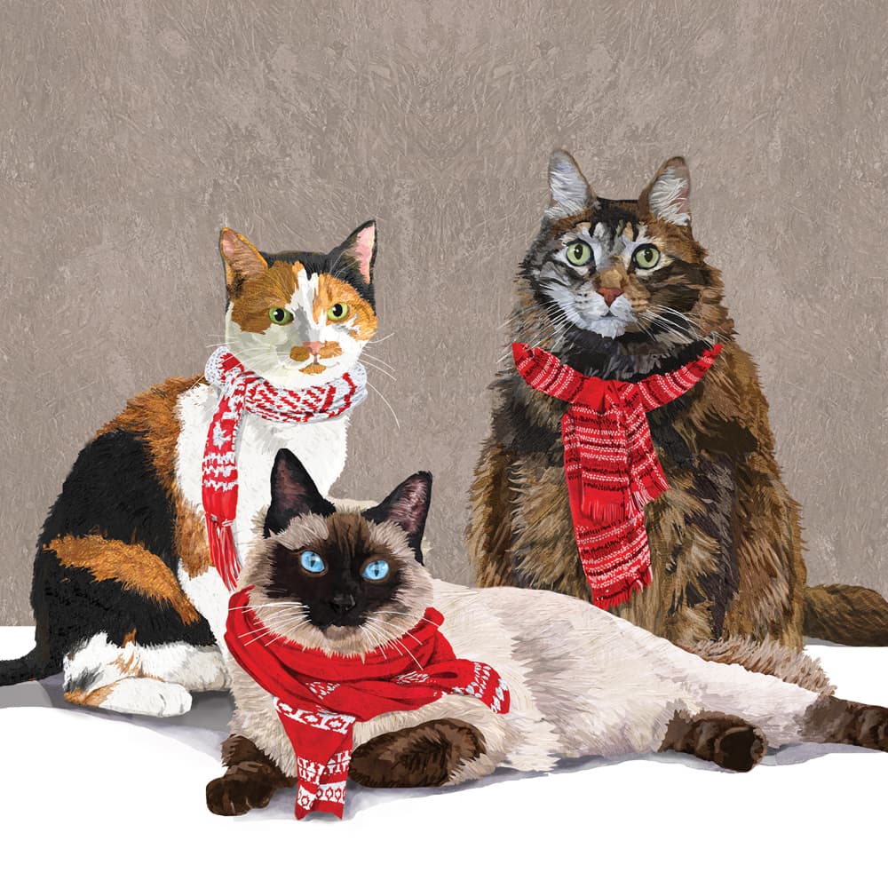 ppd Serviette Scarf Cats 33x33cm