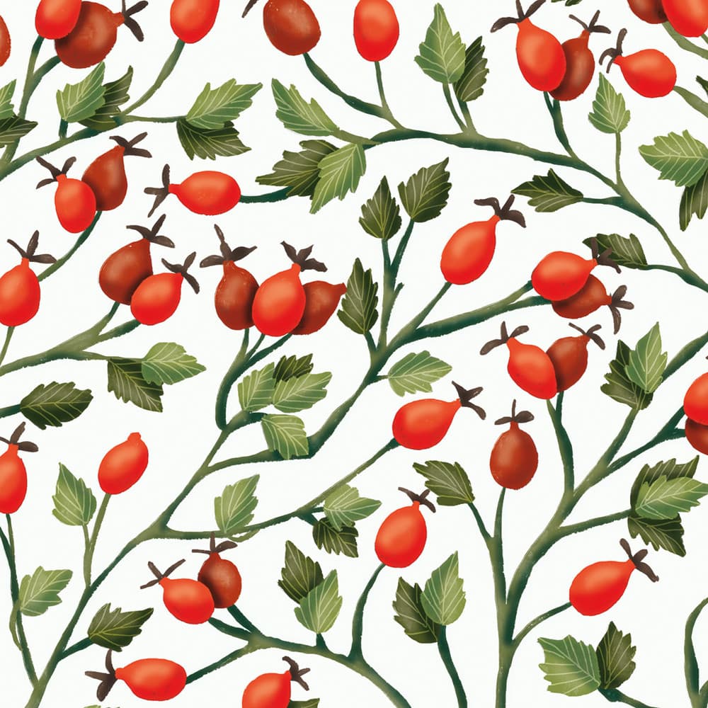 ppd Serviette Rosehips 33x33cm