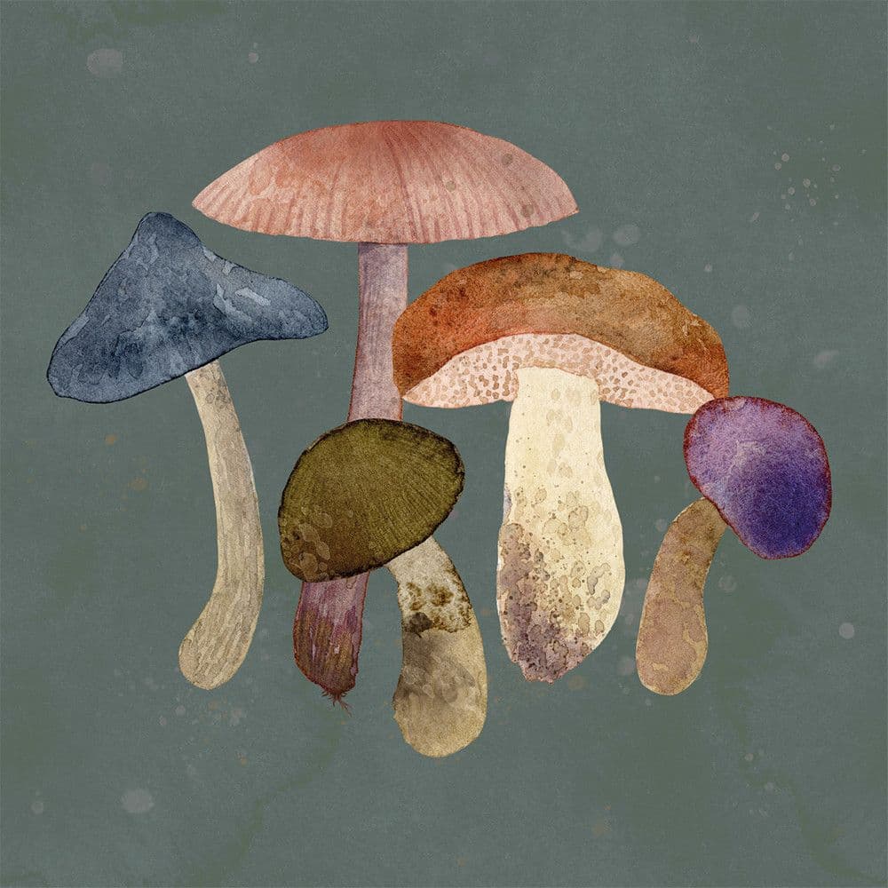 ppd Serviette Mushroom Fantasy 33x33cm
