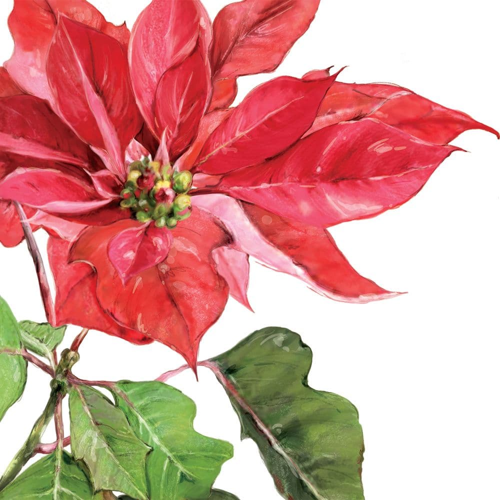 Bella Casa Servietten Poinsetta Rouge 33x33cm