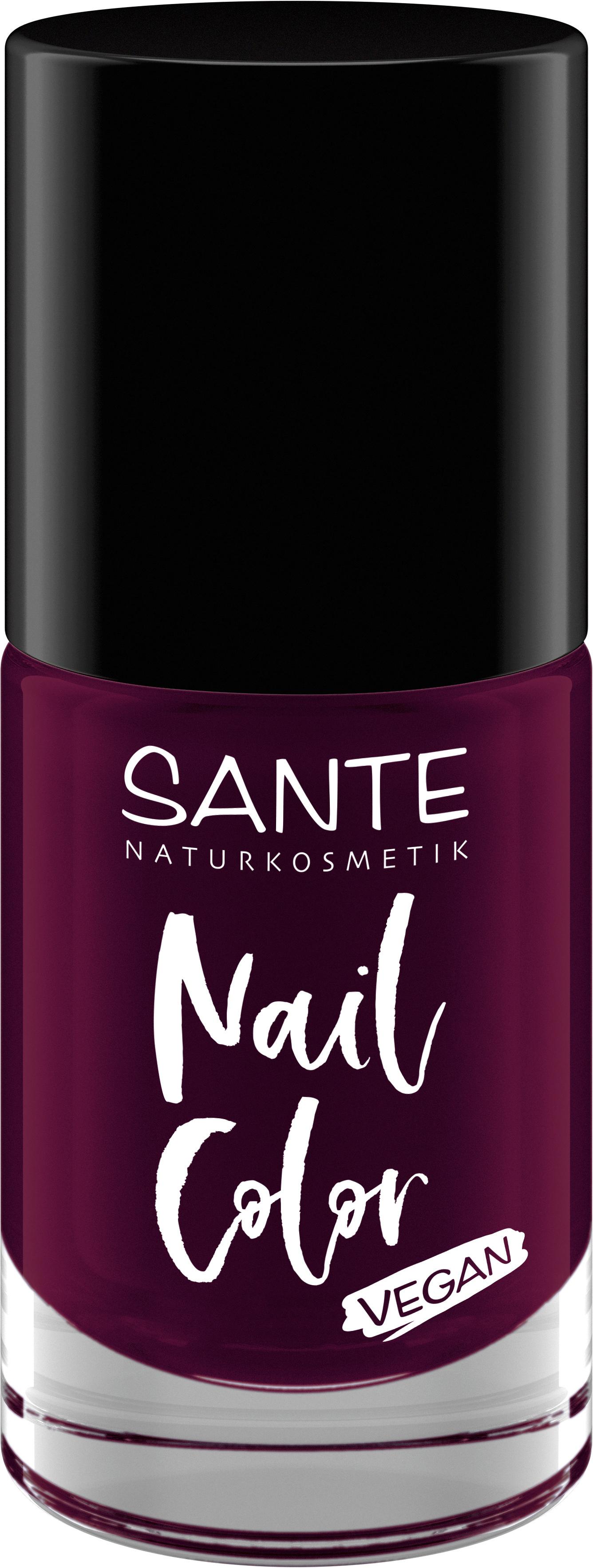 SANTE Nail Color 04 Plumtheory